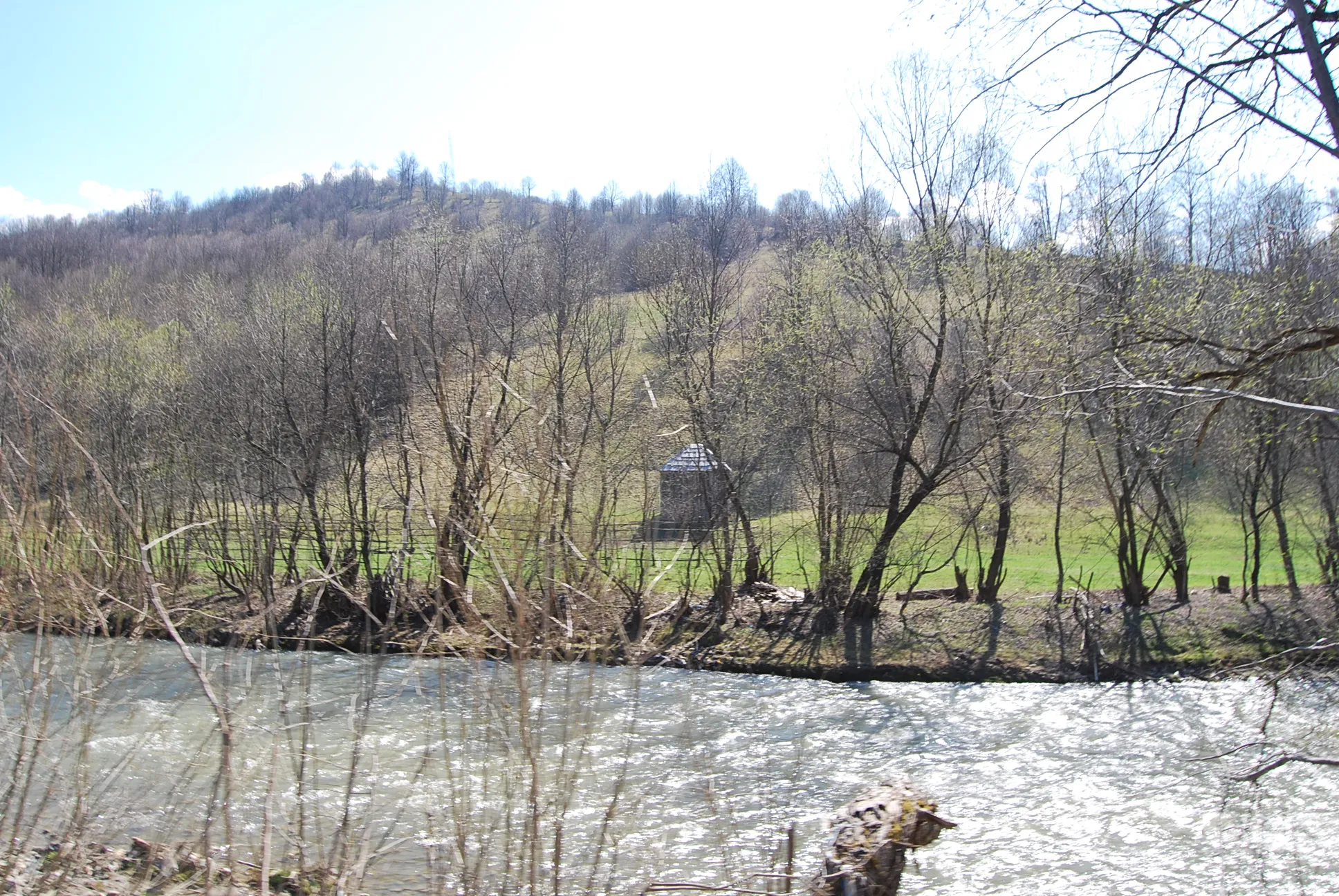 Photo showing: Râul Vișeu, prin Moisei