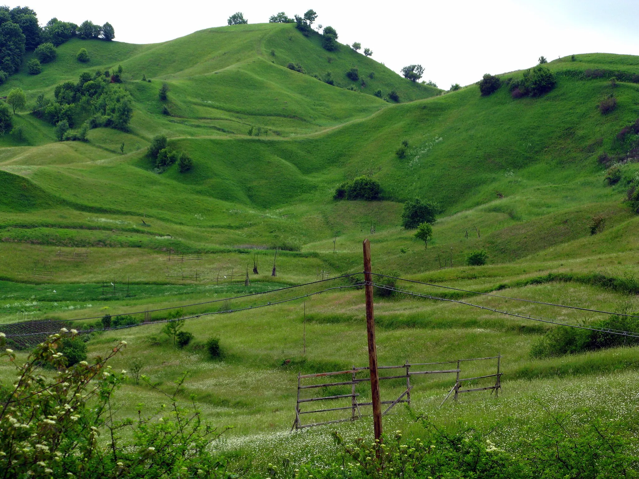 Photo showing: Mountain meadows in the vicinity of Bocicoel in Maramureş Mountains (Inner Eastern Carpathians) in north of Rumania / EU. Characteristic of the area is very beautiful landscape, still marked by tedious manual labor of the peasants. The meadows are still far up mowed by hand with a scythe and not processed with machines. Hay drying racks, here empty, are a common sight.