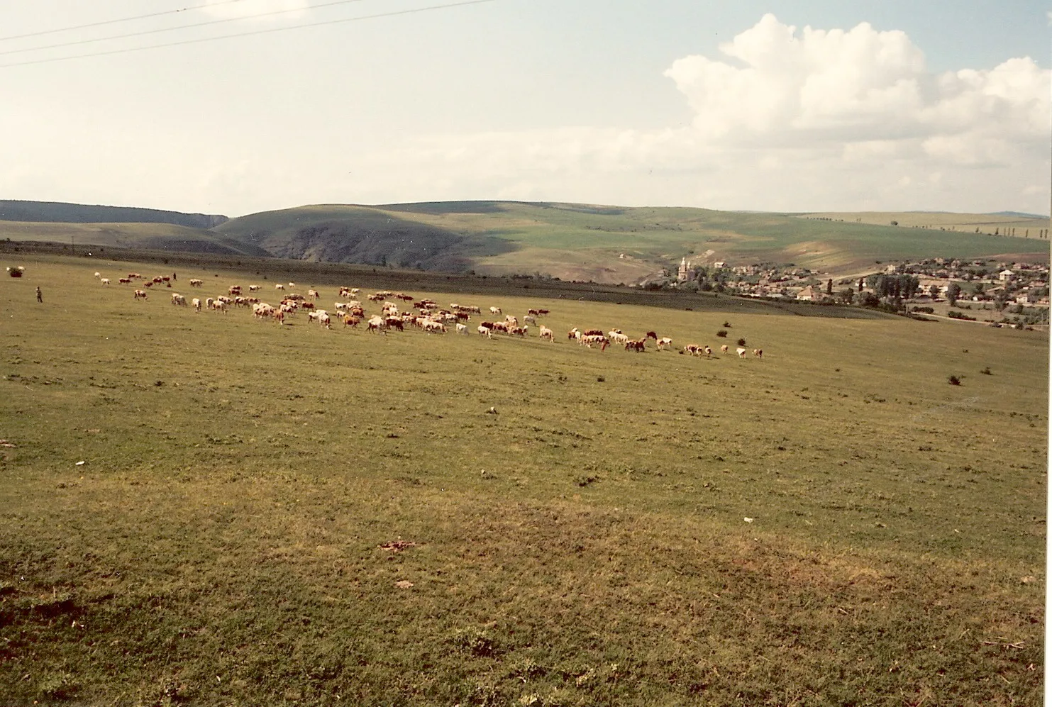 Photo showing: Cheile Turului şi satul Copăceni