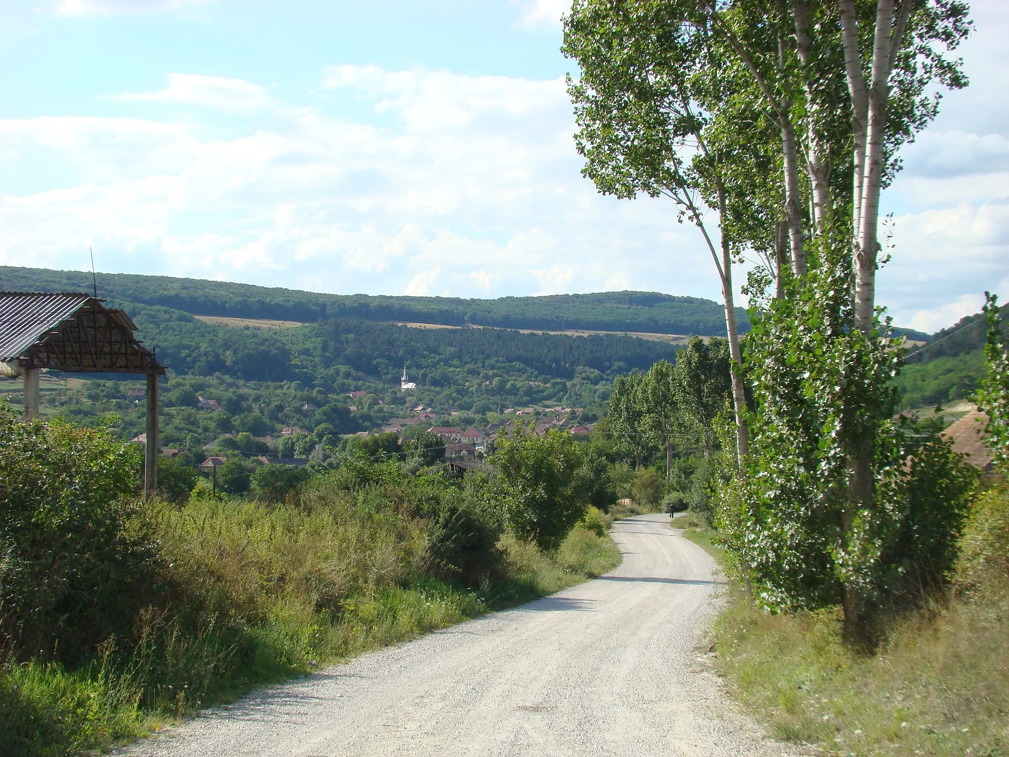 Photo showing: Drumul comunal Tureni-Micești, județul Cluj