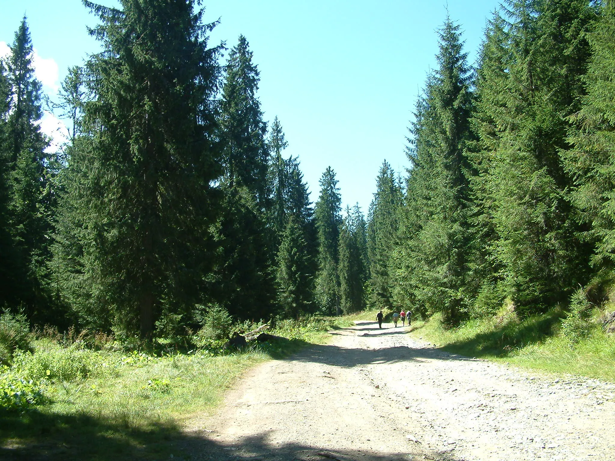 Photo showing: Biharfüred környékén