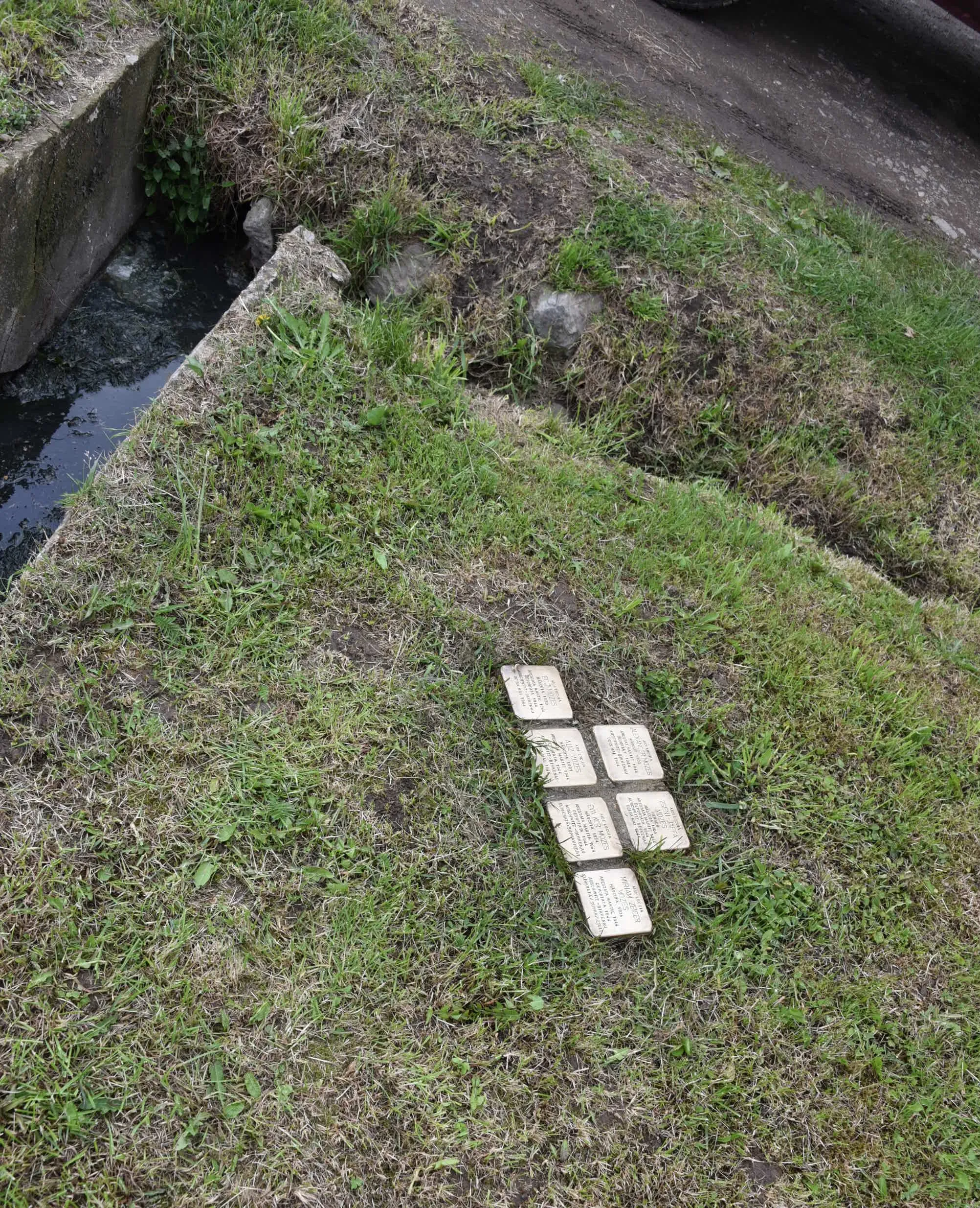 Photo showing: Stolpersteine für Familie Mozes in Porţ