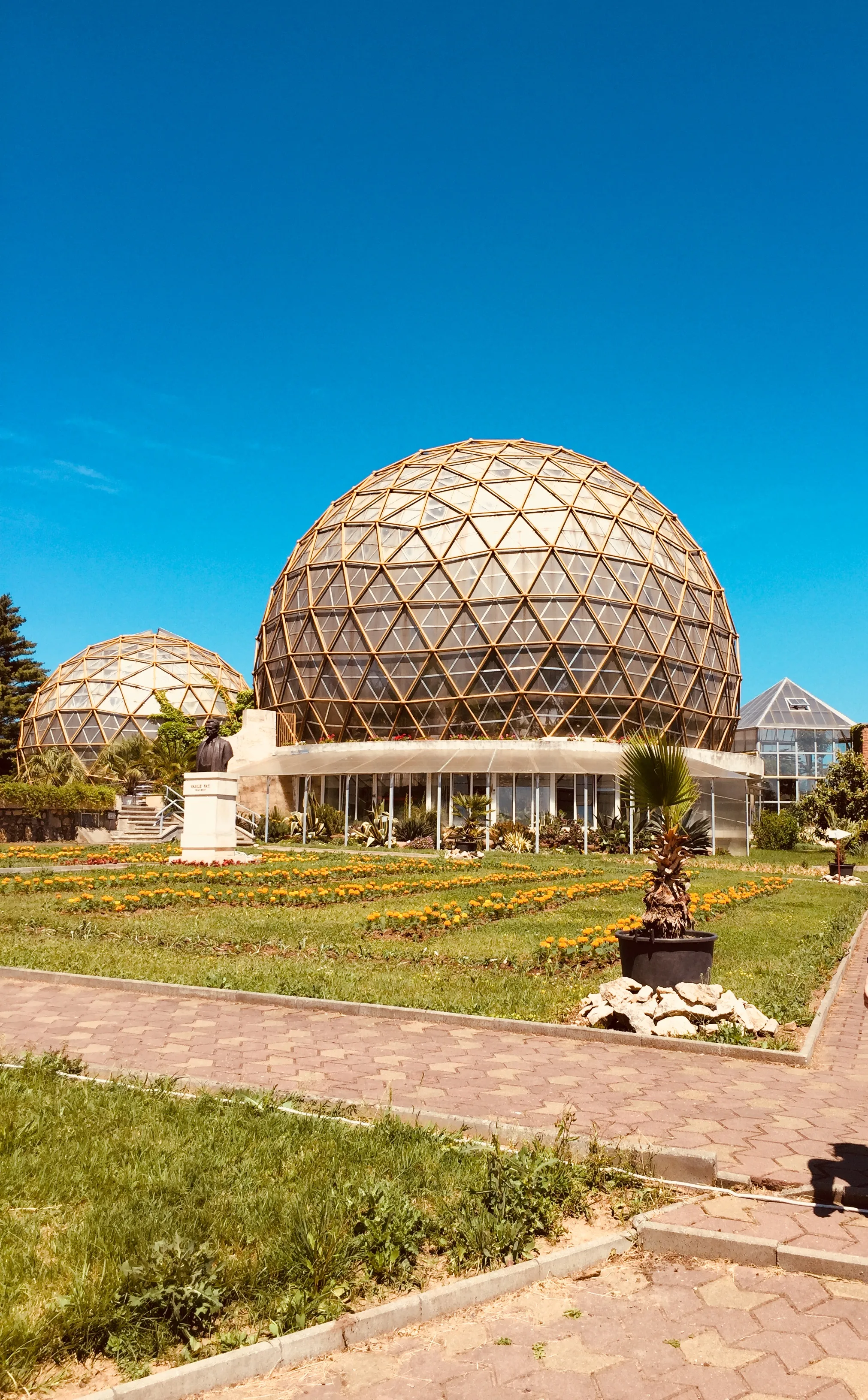 Photo showing: Main greenhouses of the Jibou Botanical Garden