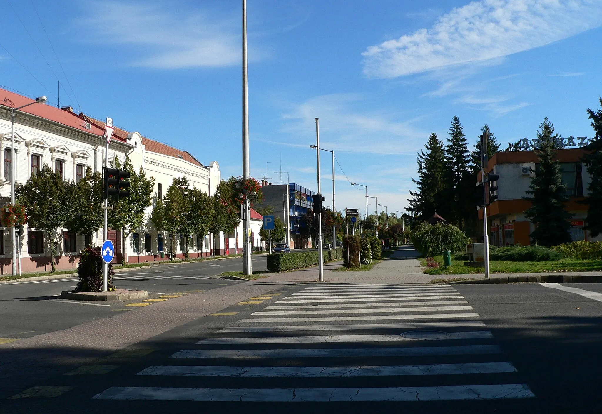 Photo showing: Sarkad központja