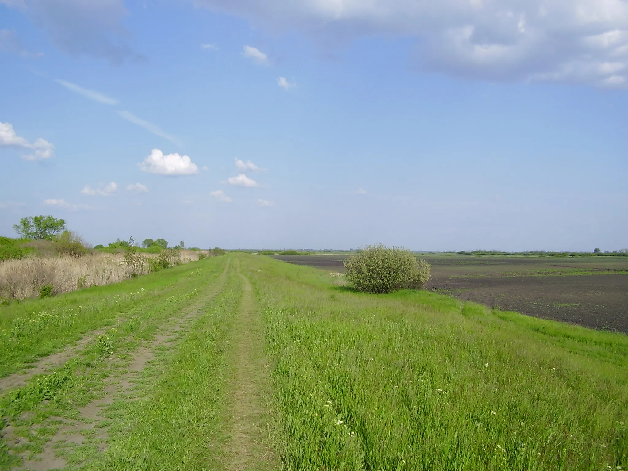 Photo showing: Keletve tekintve a Balázs-tanyától