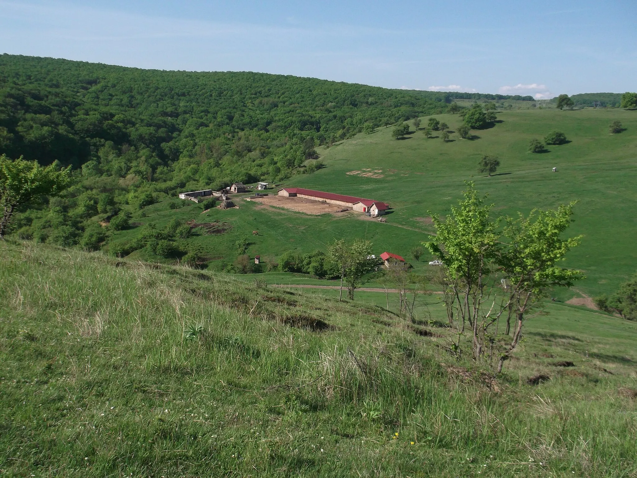 Photo showing: Baciu, judetul Cluj, zona de sud-vest, la granita cu satul Suceagu.