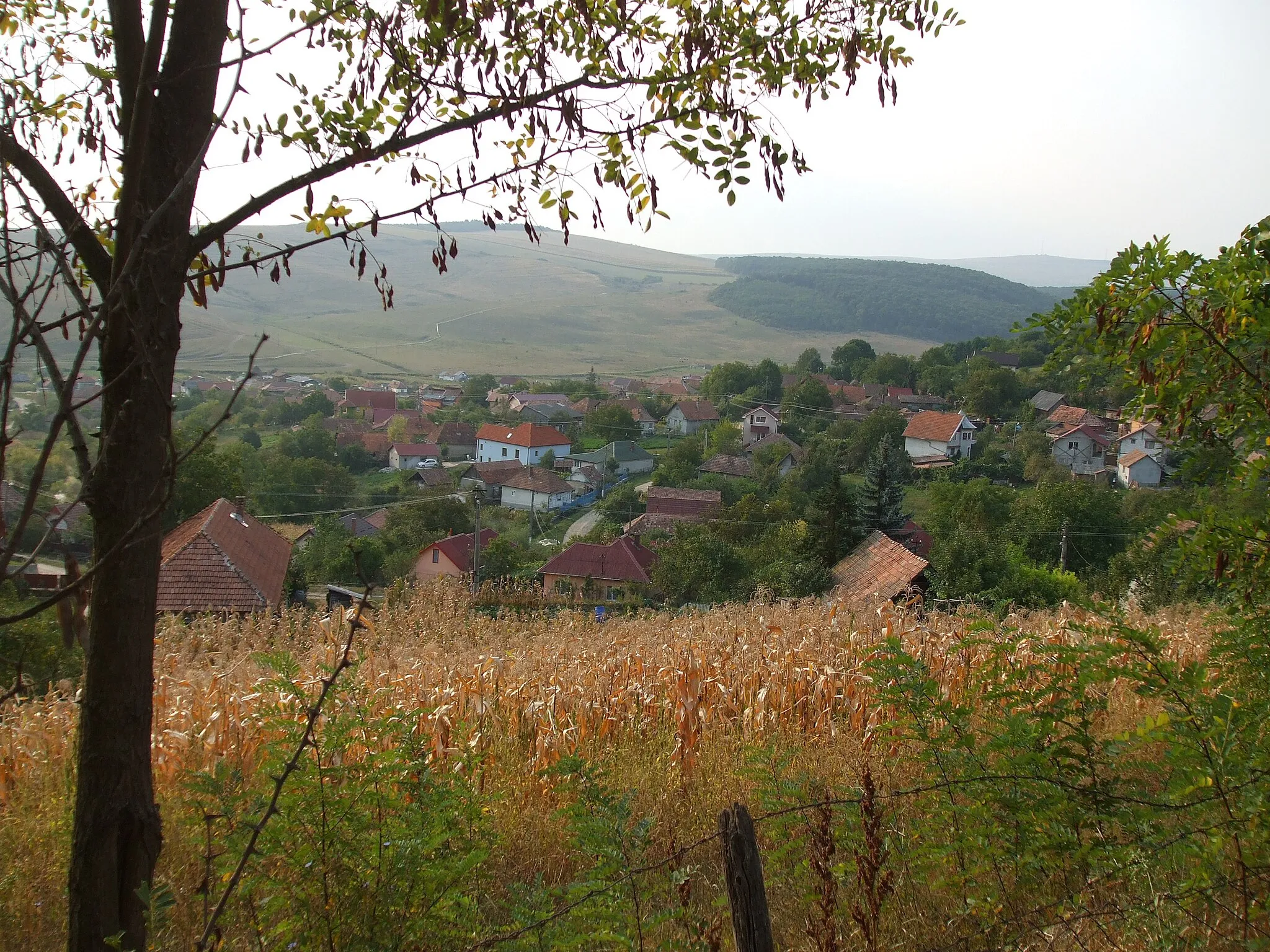 Photo showing: Satul Dezmir,comuna Apahida ,jud.Cluj