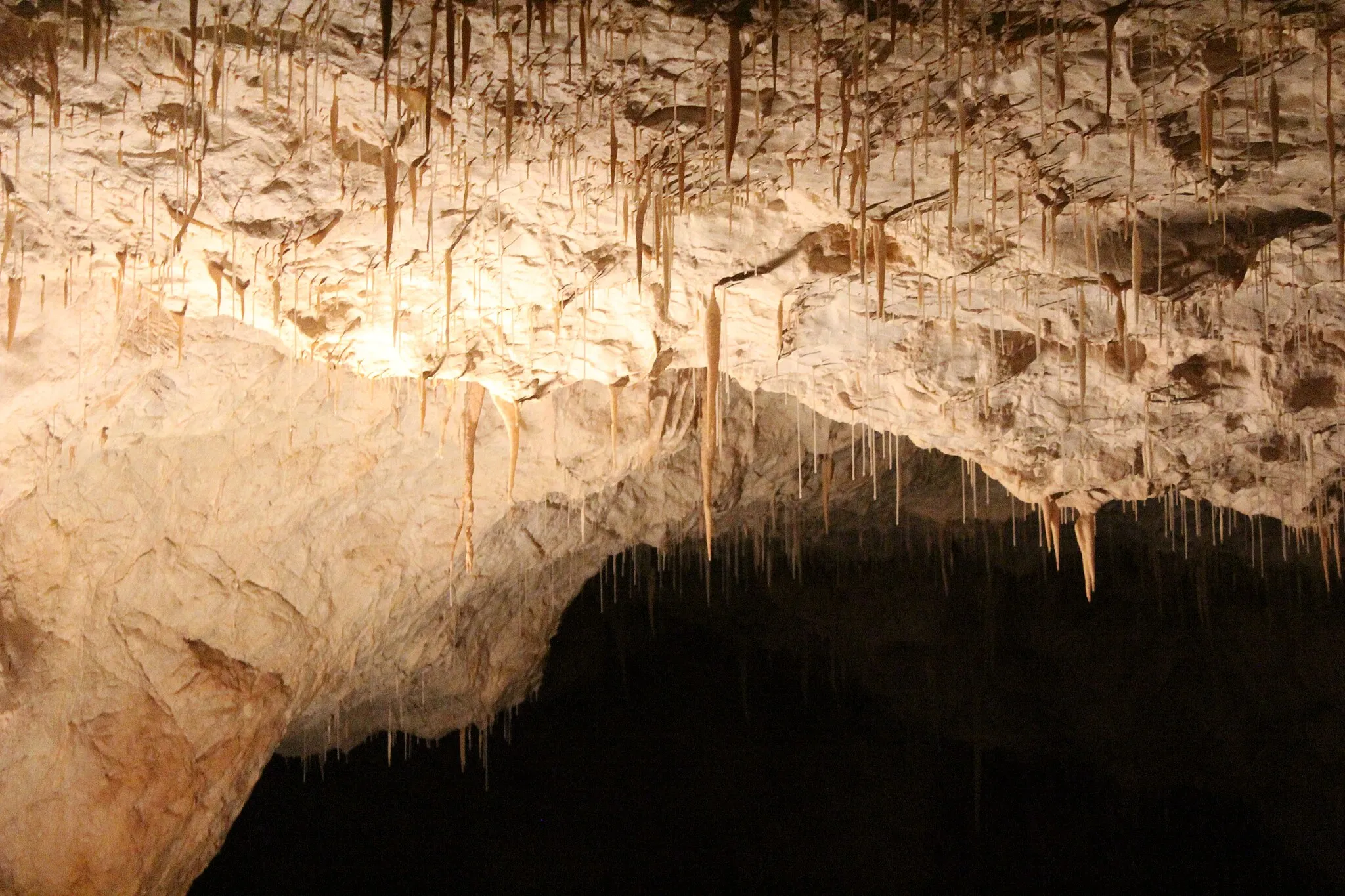 Photo showing: Bear Cave (Chișcău, Romania).