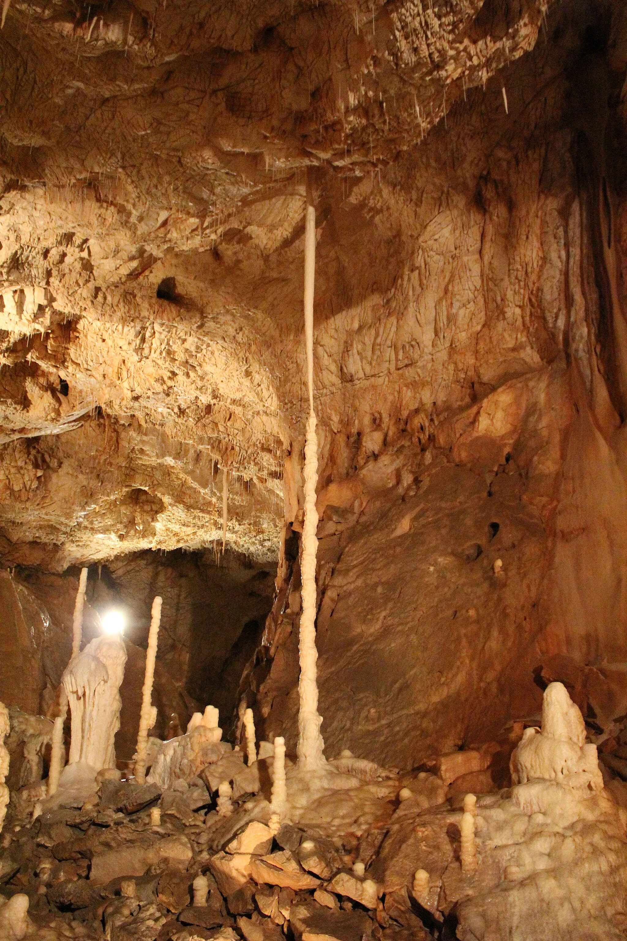 Photo showing: Pillar of dripstone (stalagnat) in the Bear Cave (Chișcău, Romania).