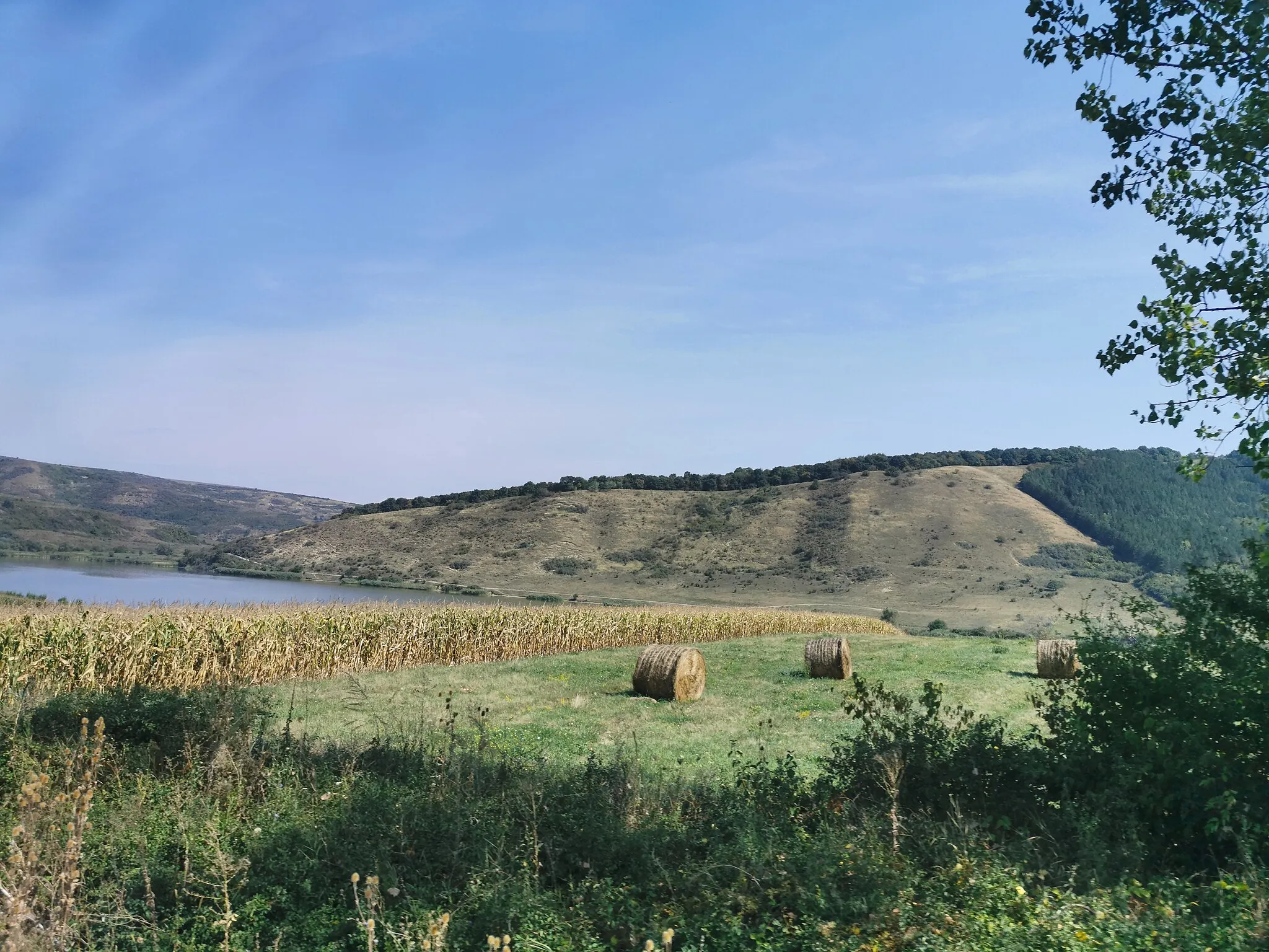 Photo showing: Cegei Nagy-tó 2019. szeptember 3-án, kedden.