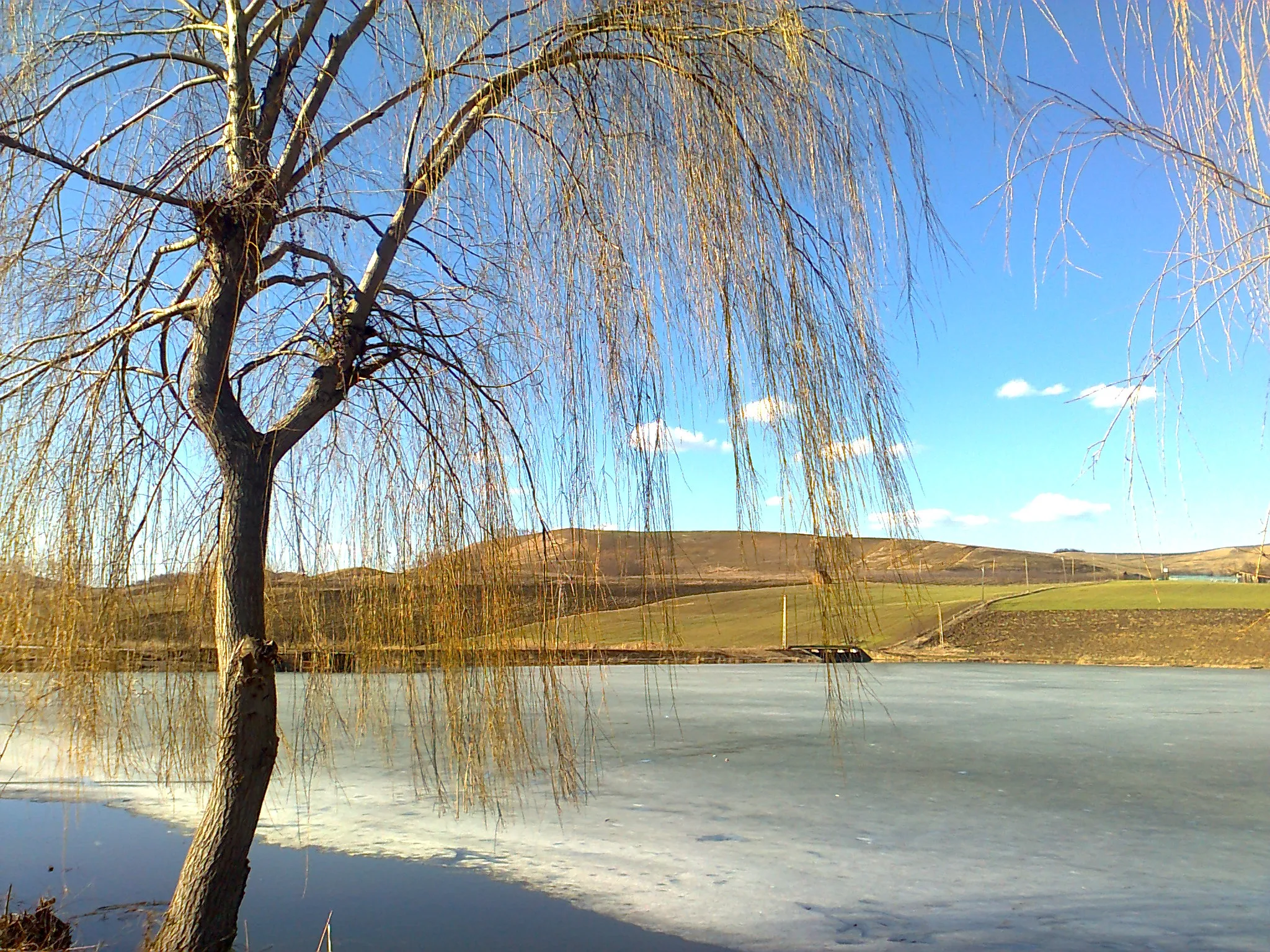 Photo showing: Fishpond in Saulia (Mures County, Romania)