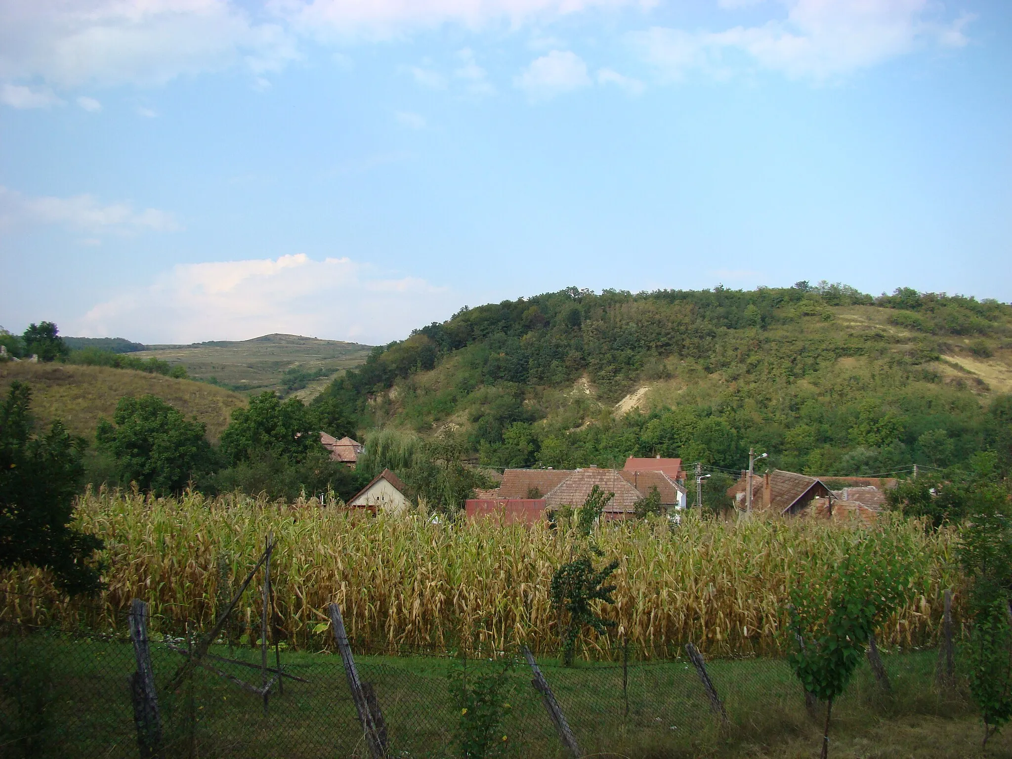 Photo showing: Lopadea Veche, Alba county, Romania