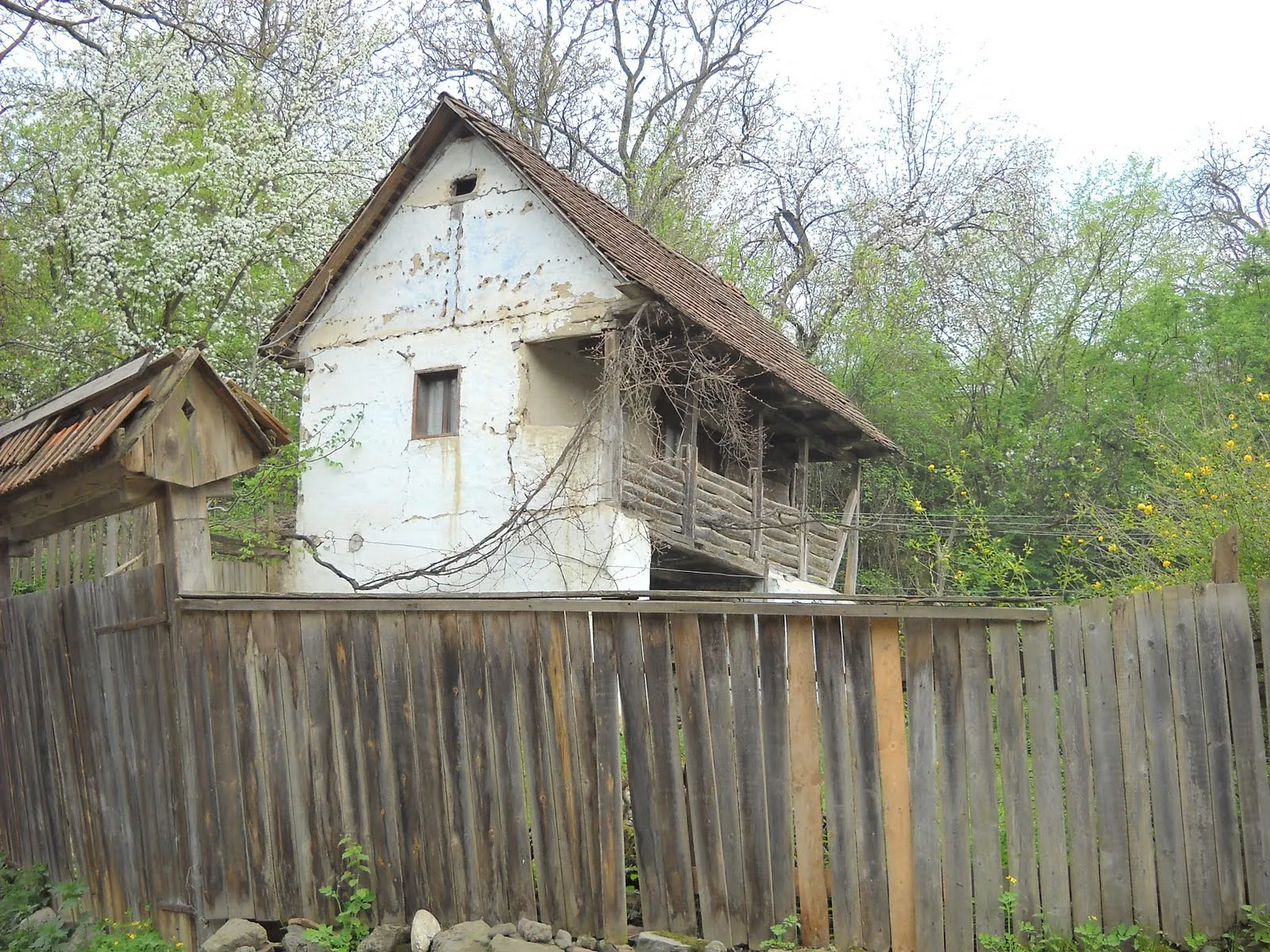 Photo showing: old house in Păiușeni village, Arad County, Romania