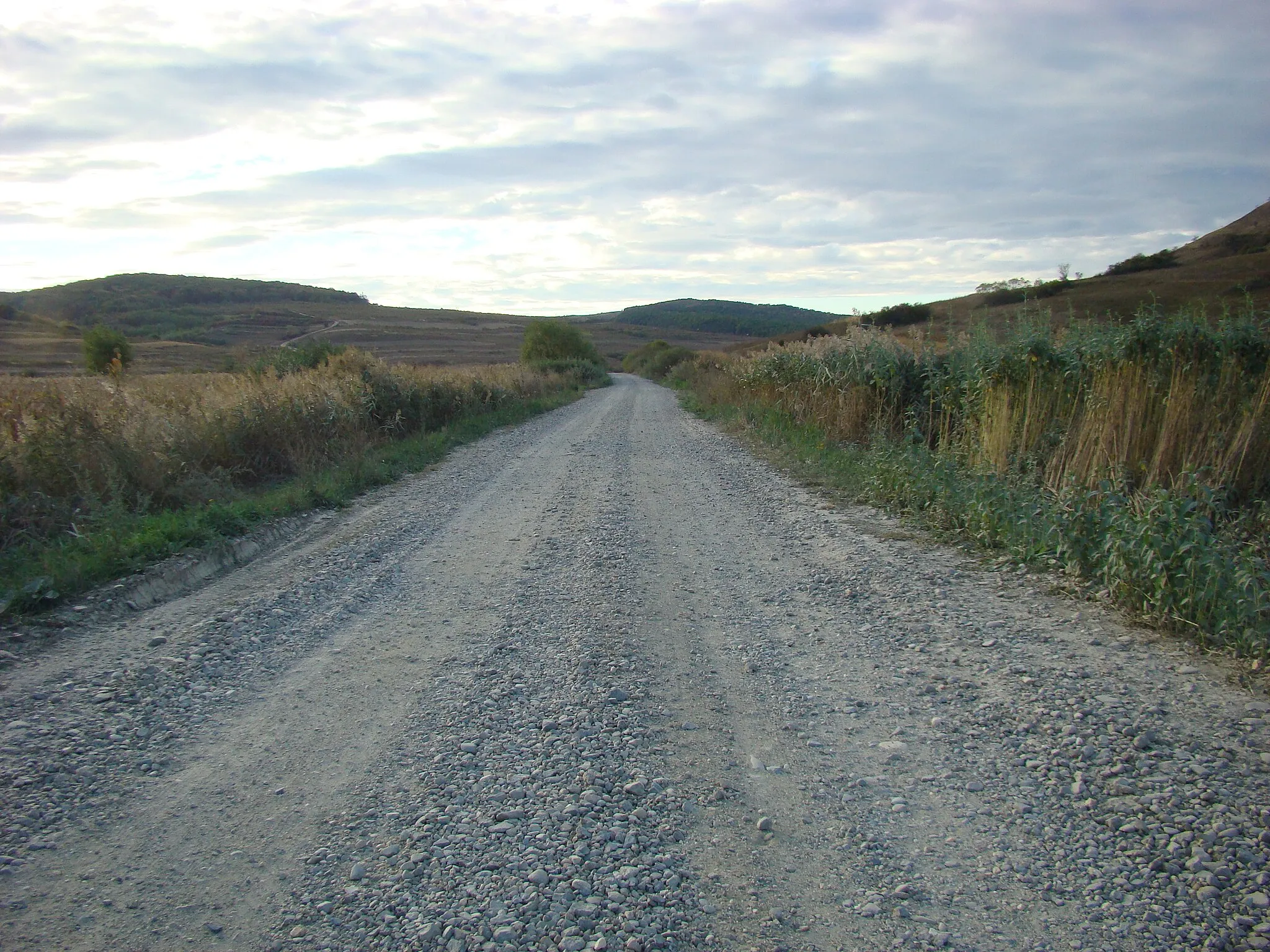 Photo showing: Enciu, Bistrița-Năsăud county, Romania