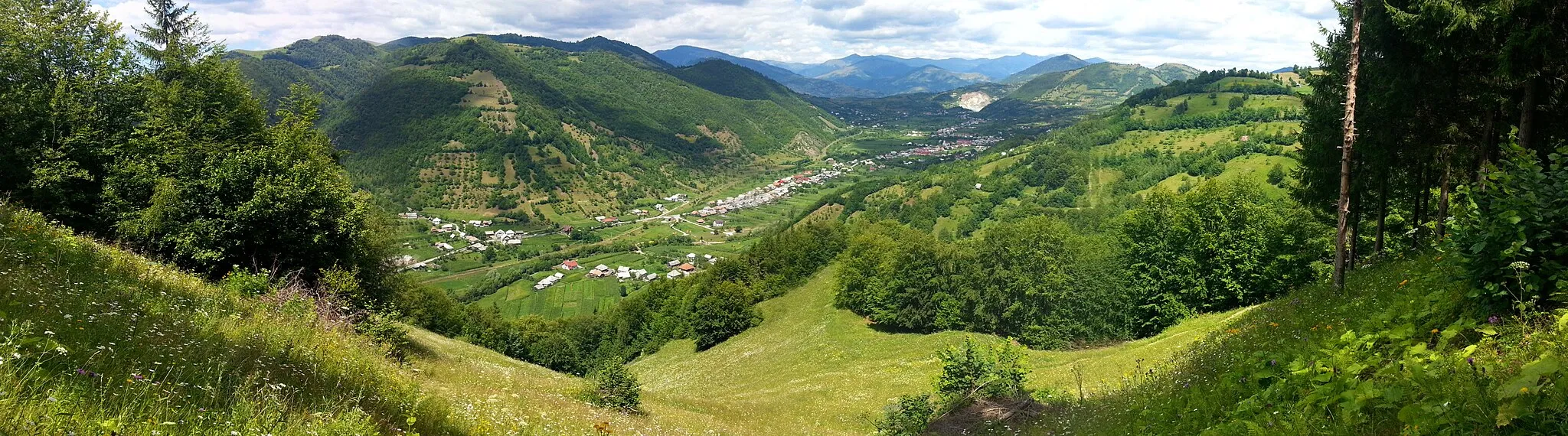 Photo showing: Vedere panoramica Poiana Ilvei