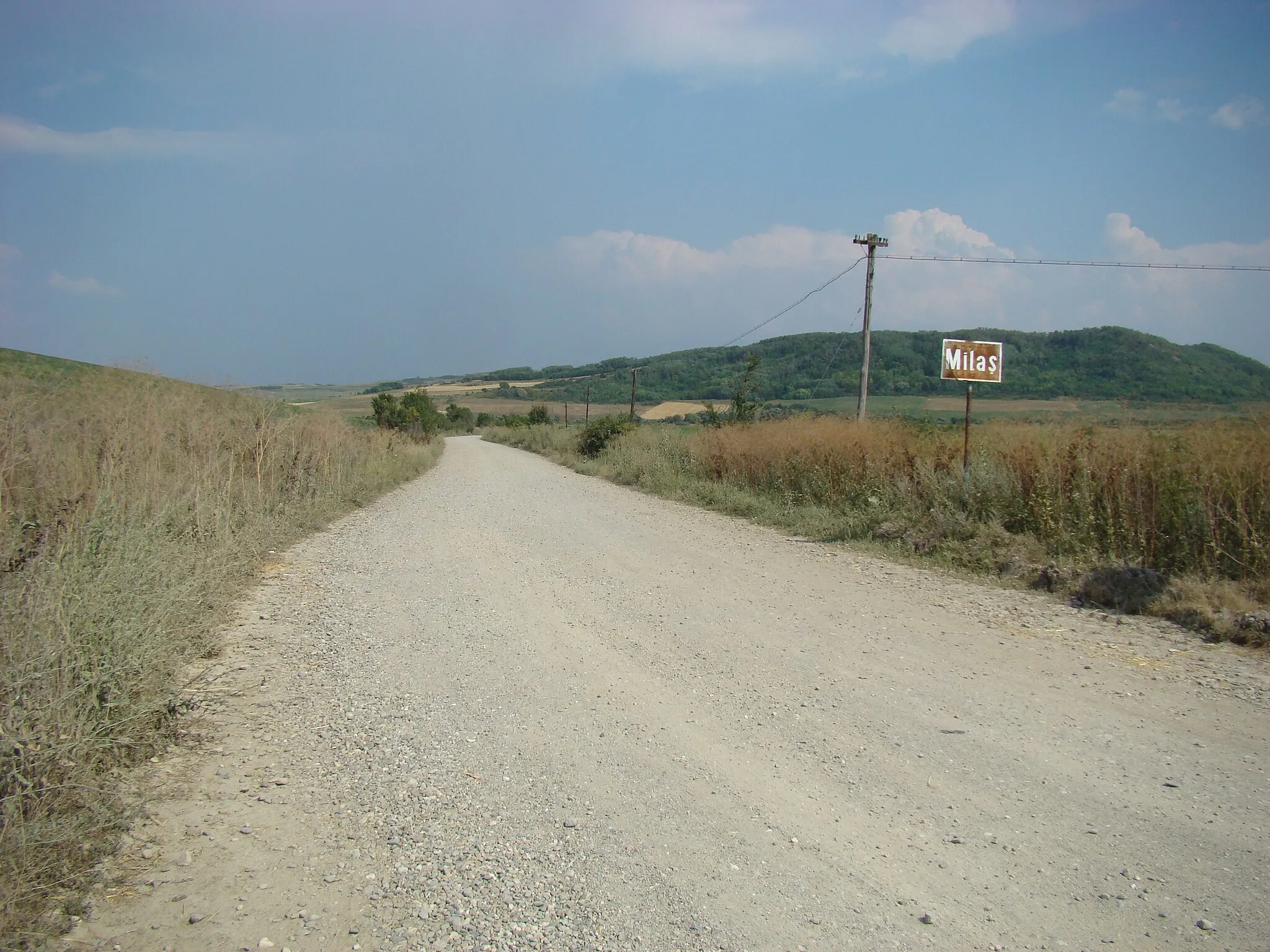 Photo showing: Milaș, Bistrița-Năsăud county, Romania