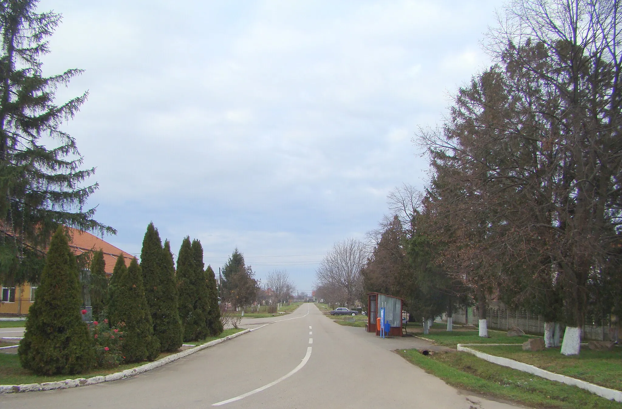 Photo showing: Palota, Bihor county, Romania