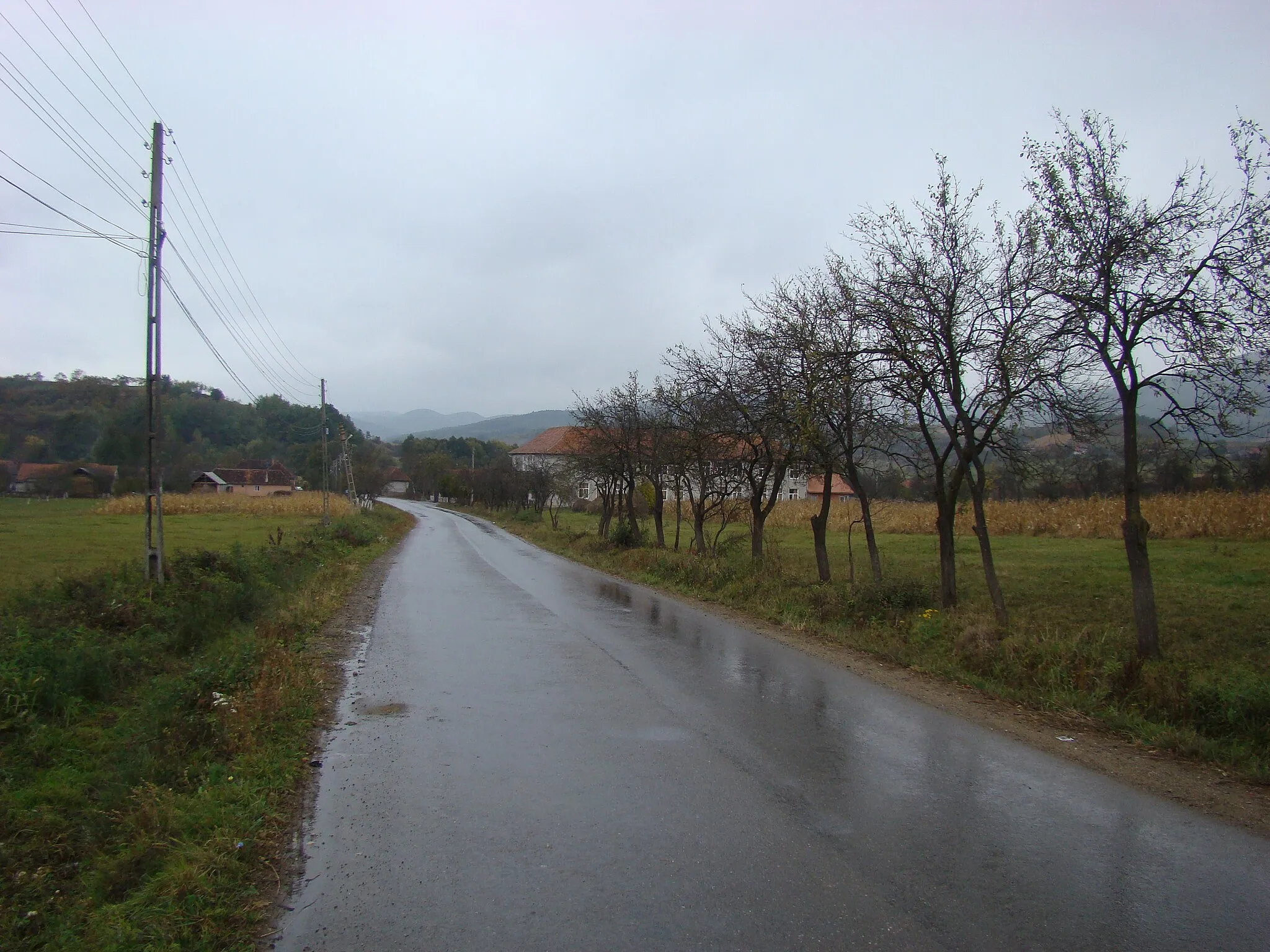 Photo showing: Luncșoara, județul Bihor