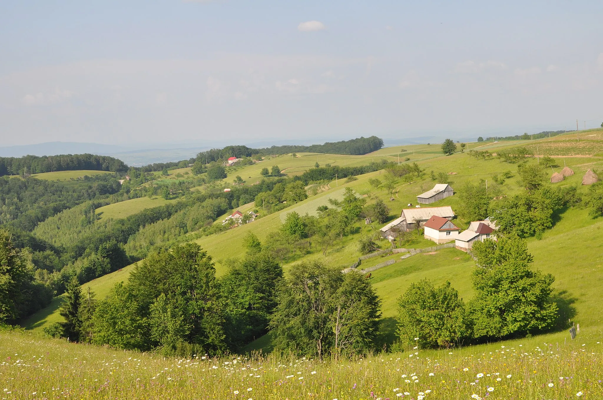 Photo showing: Șerani, Bihor County, Romania