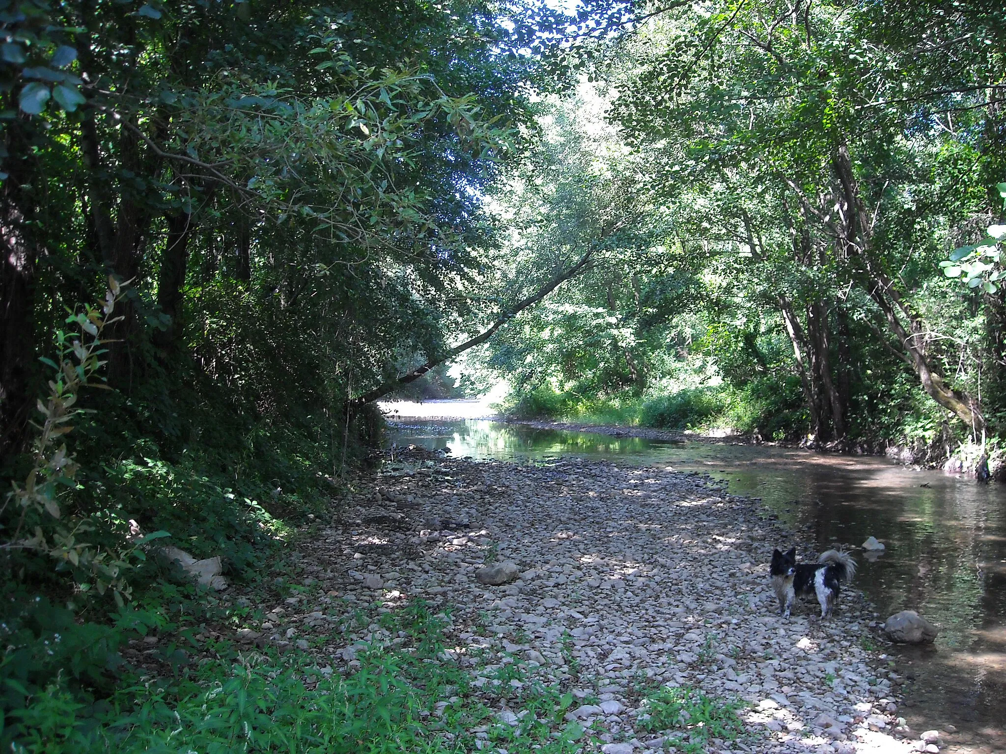 Photo showing: Râul Valea Roșia, văzut în apropierea podului dintre Josani și Gurbești