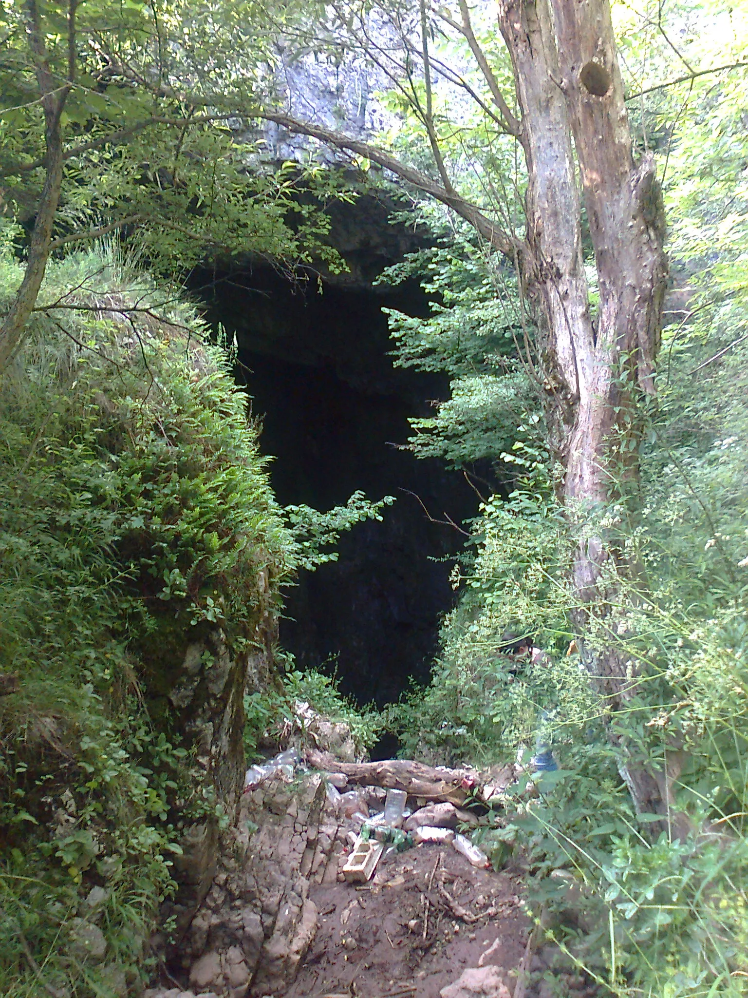 Photo showing: Câmpeneasa cave in Izbuc, Romania