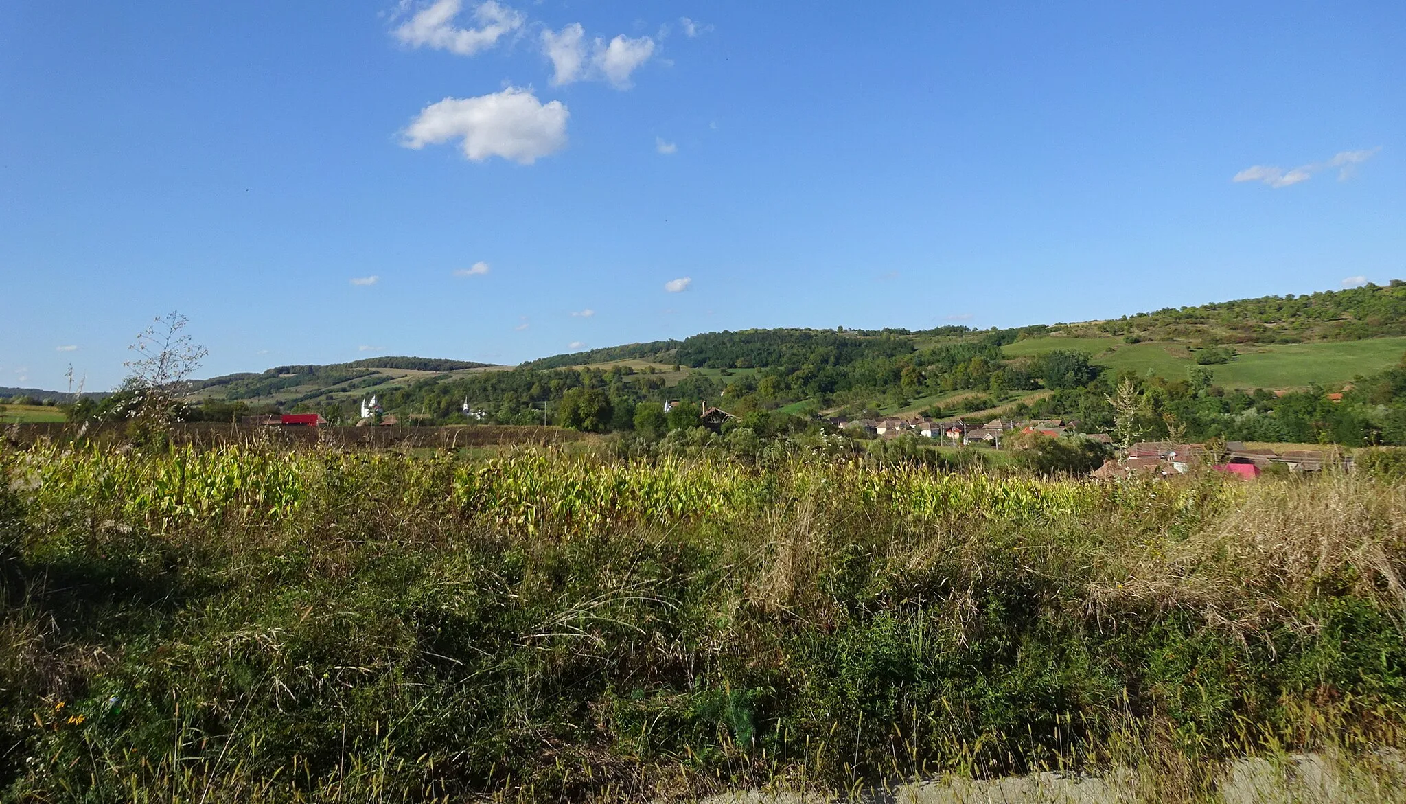 Photo showing: Logig, Mureș County, Romania