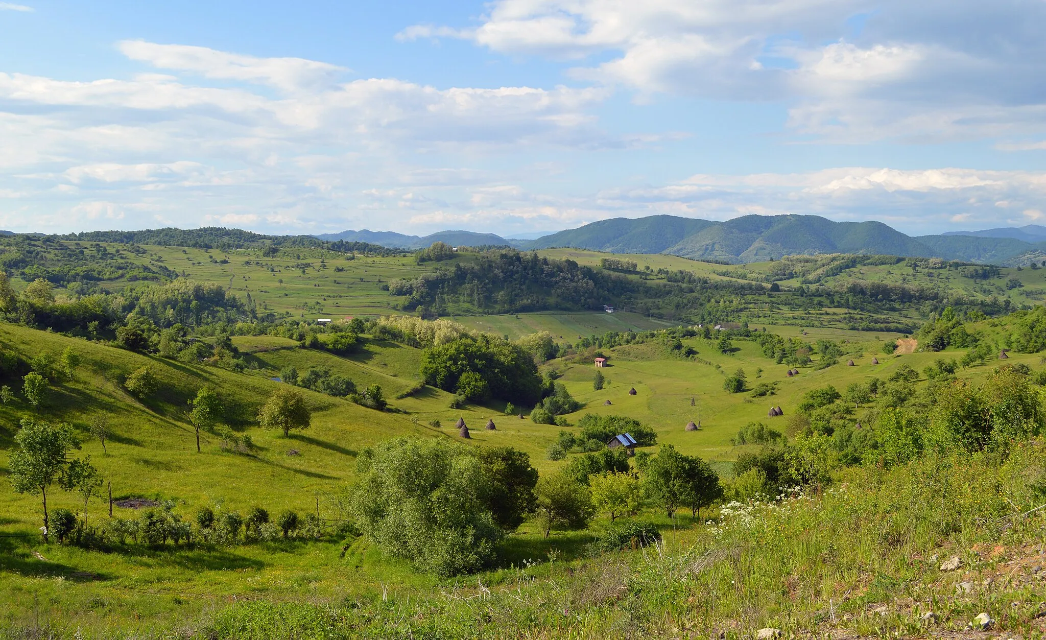 Photo showing: Rolling hills of Maramureș, near Văleni, Călinești, 2017