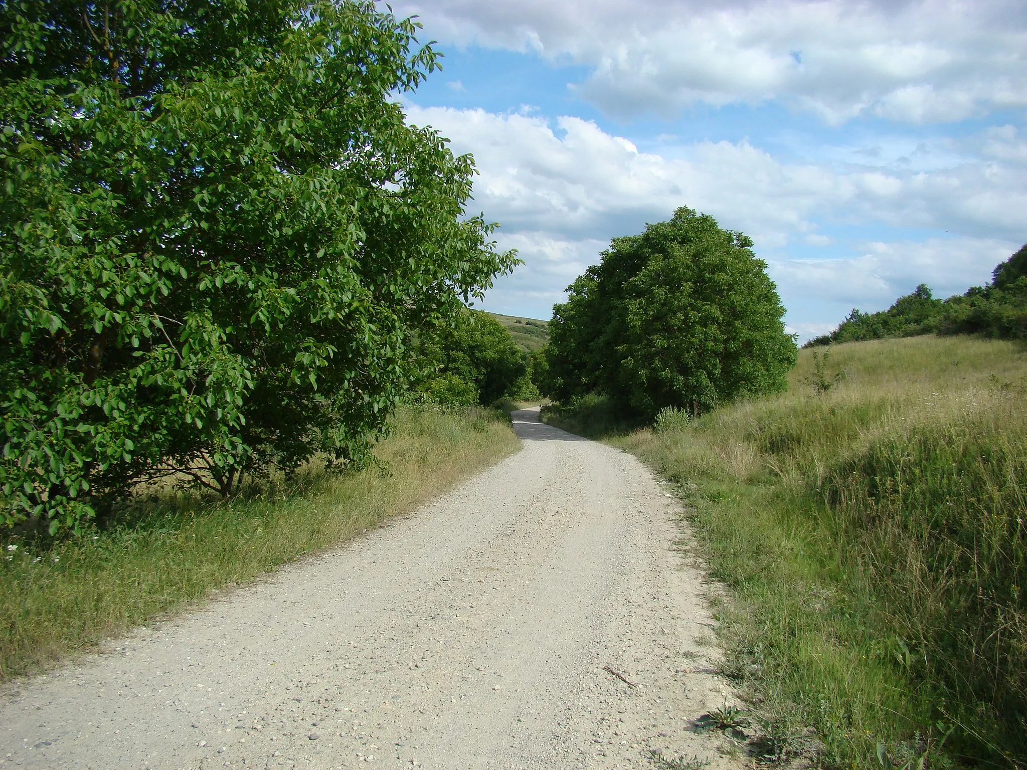 Photo showing: Vale, Cluj county, Romania