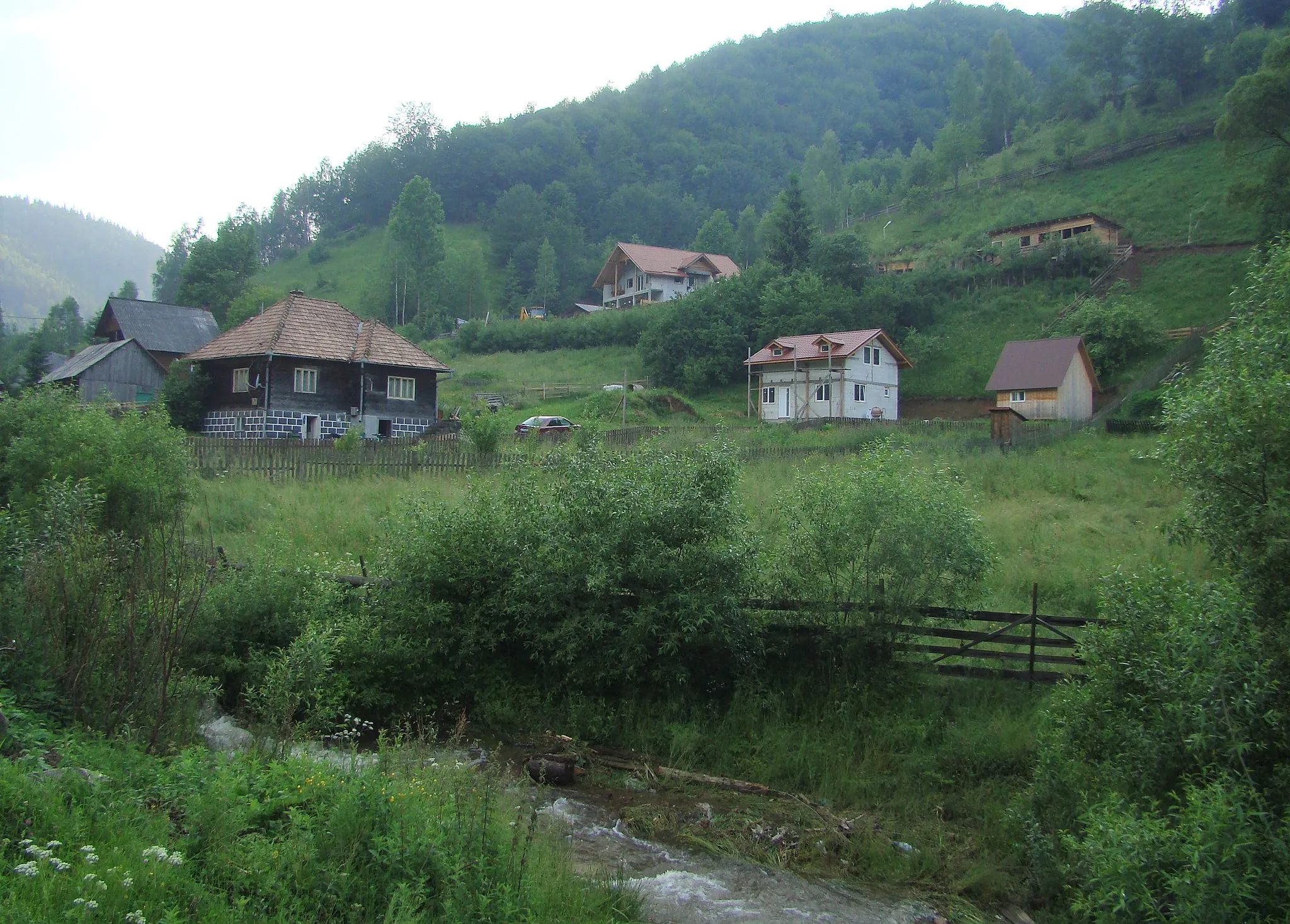 Photo showing: Muntele Băișorii, Cluj County, Romania