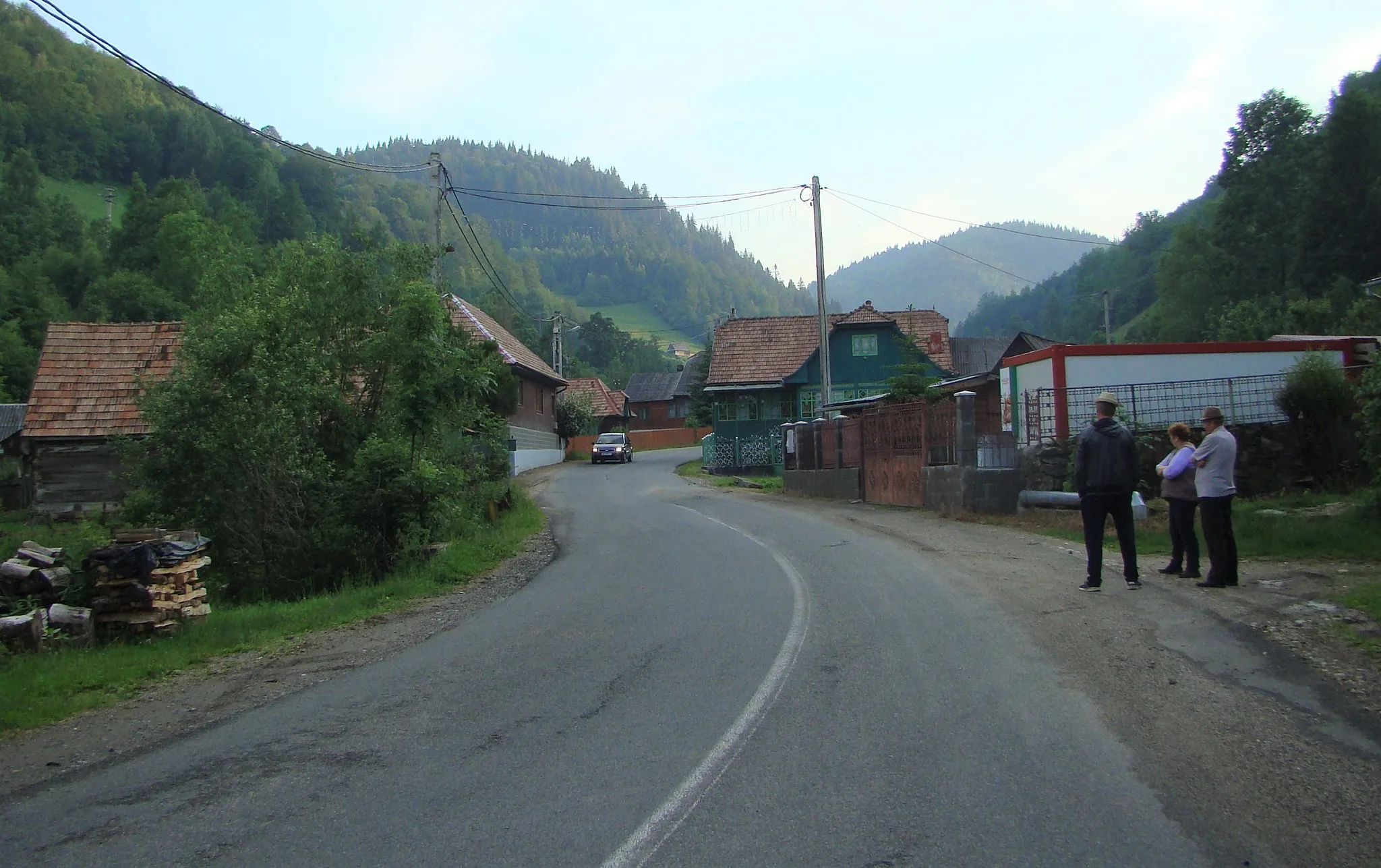 Photo showing: Muntele Băișorii, Cluj County, Romania