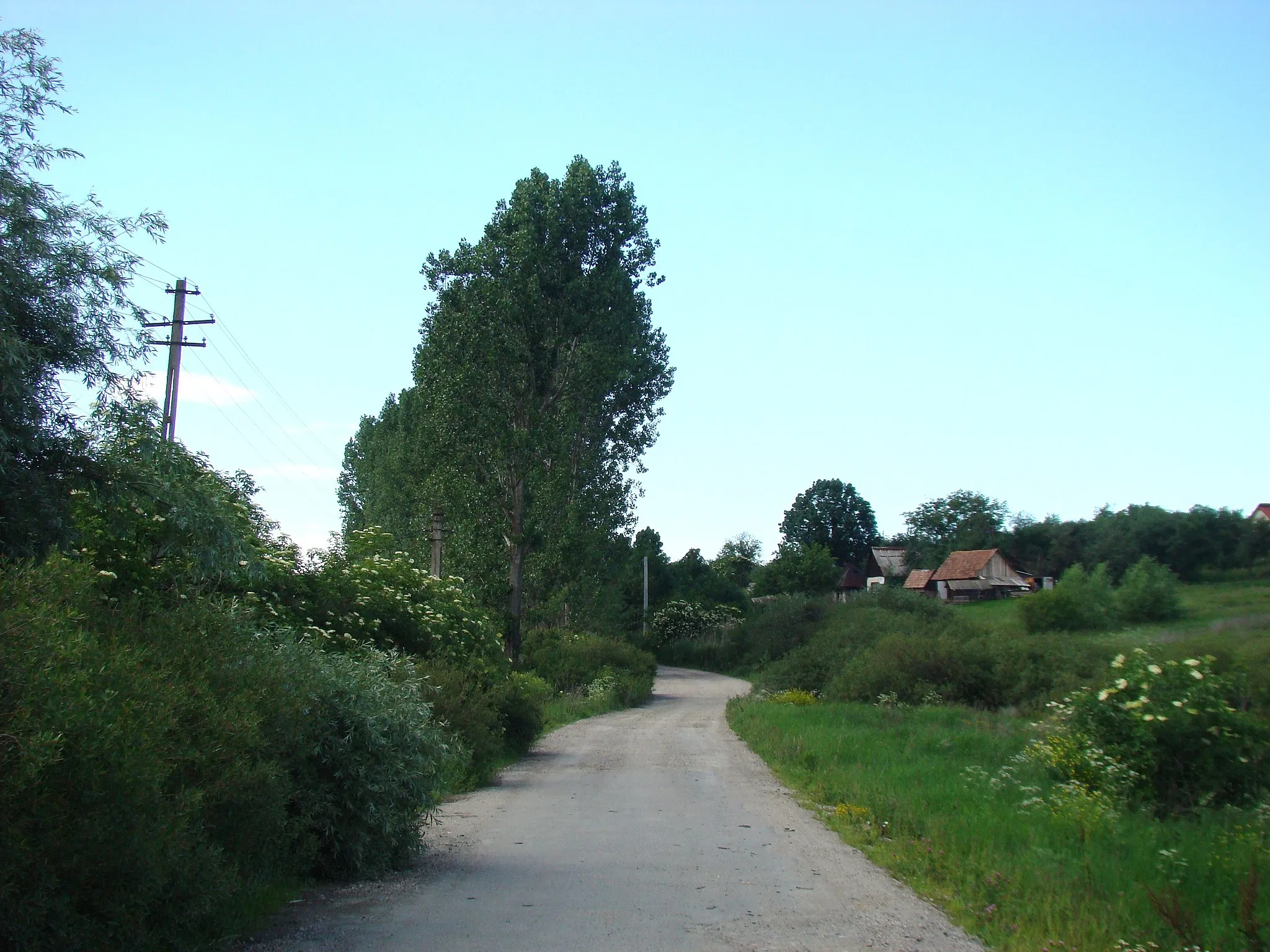 Photo showing: Pădureni (Chinteni), Cluj county, Romania