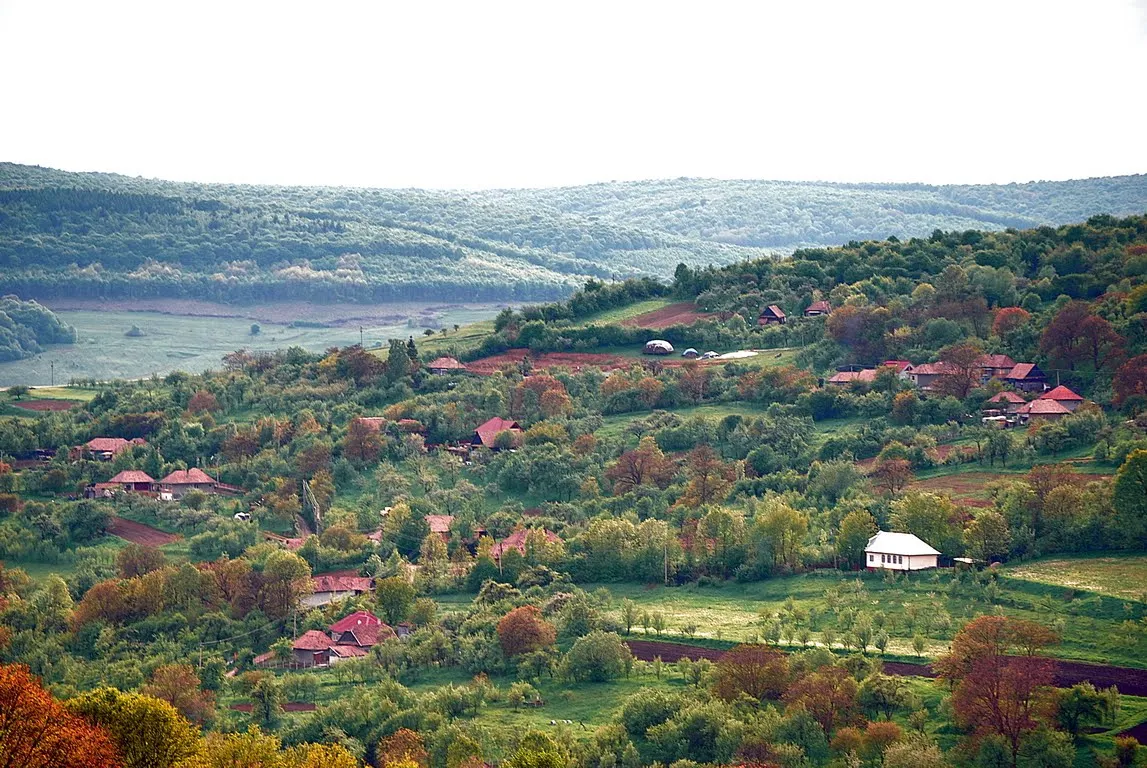 Photo showing: vedere Sărădiș
