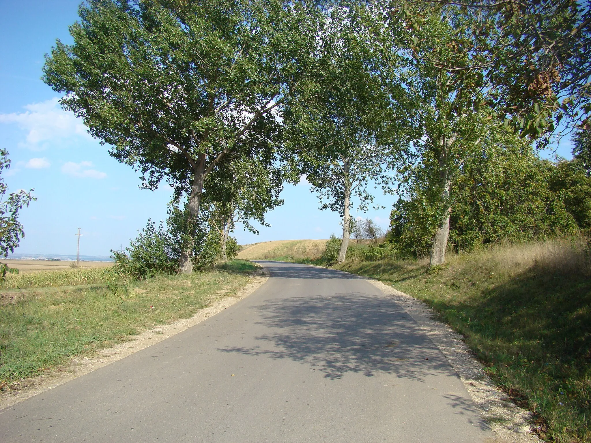 Photo showing: Plăiești, Cluj county, Romania