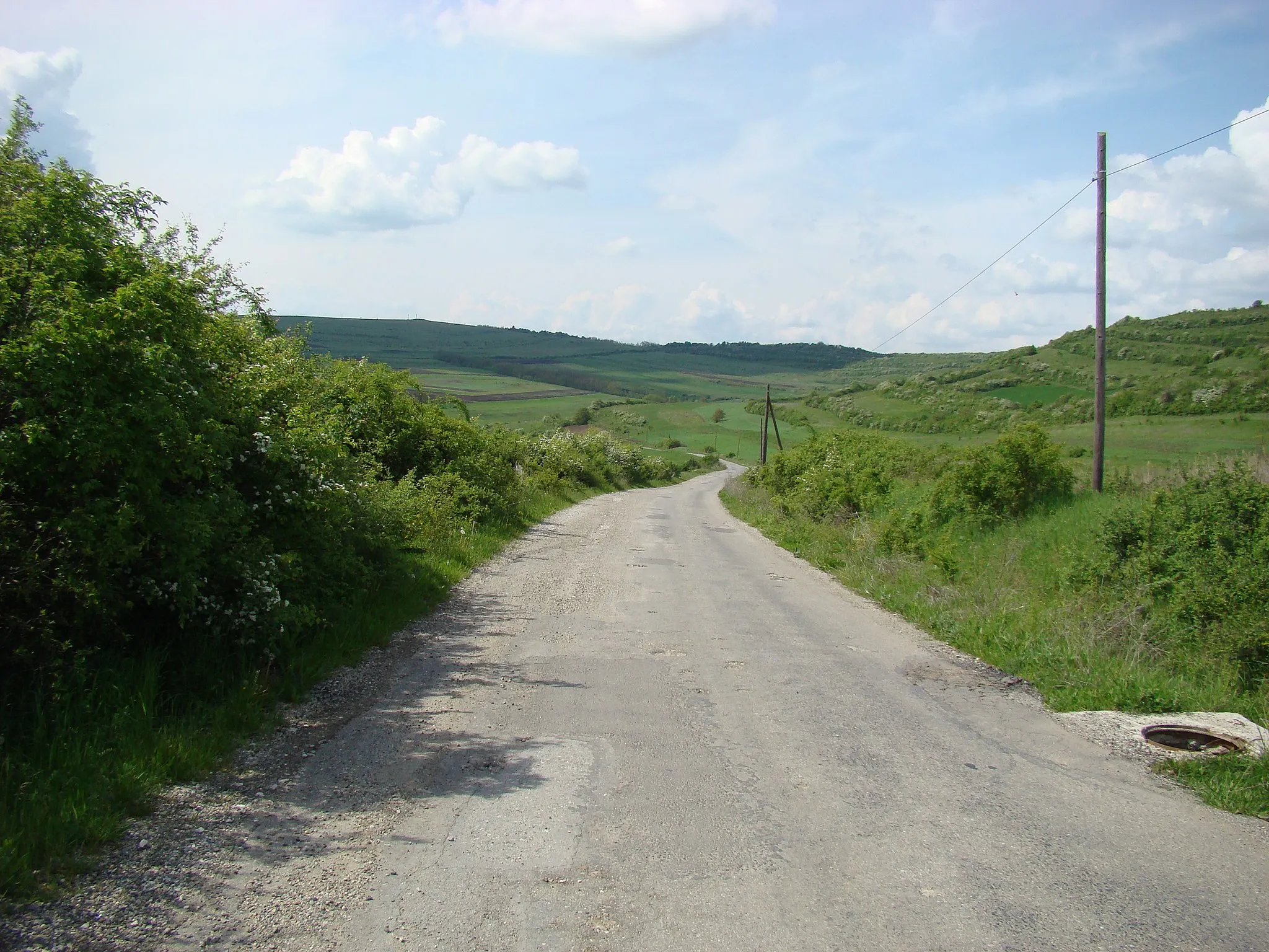 Photo showing: Drumul Vaida Cămăraș-Pălatca, județul Cluj