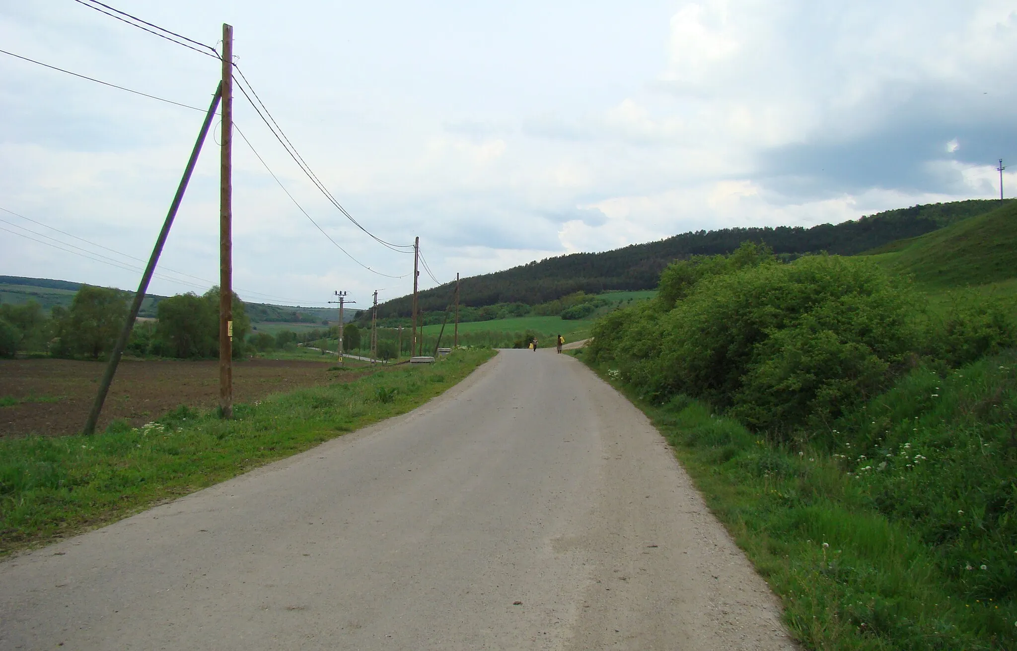 Photo showing: Drumul Petea-Pălatca, județul Cluj