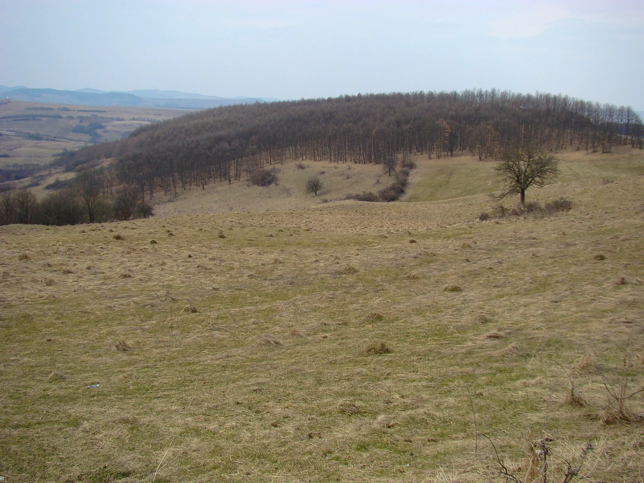 Photo showing: Pustuța, Cluj County, Romania