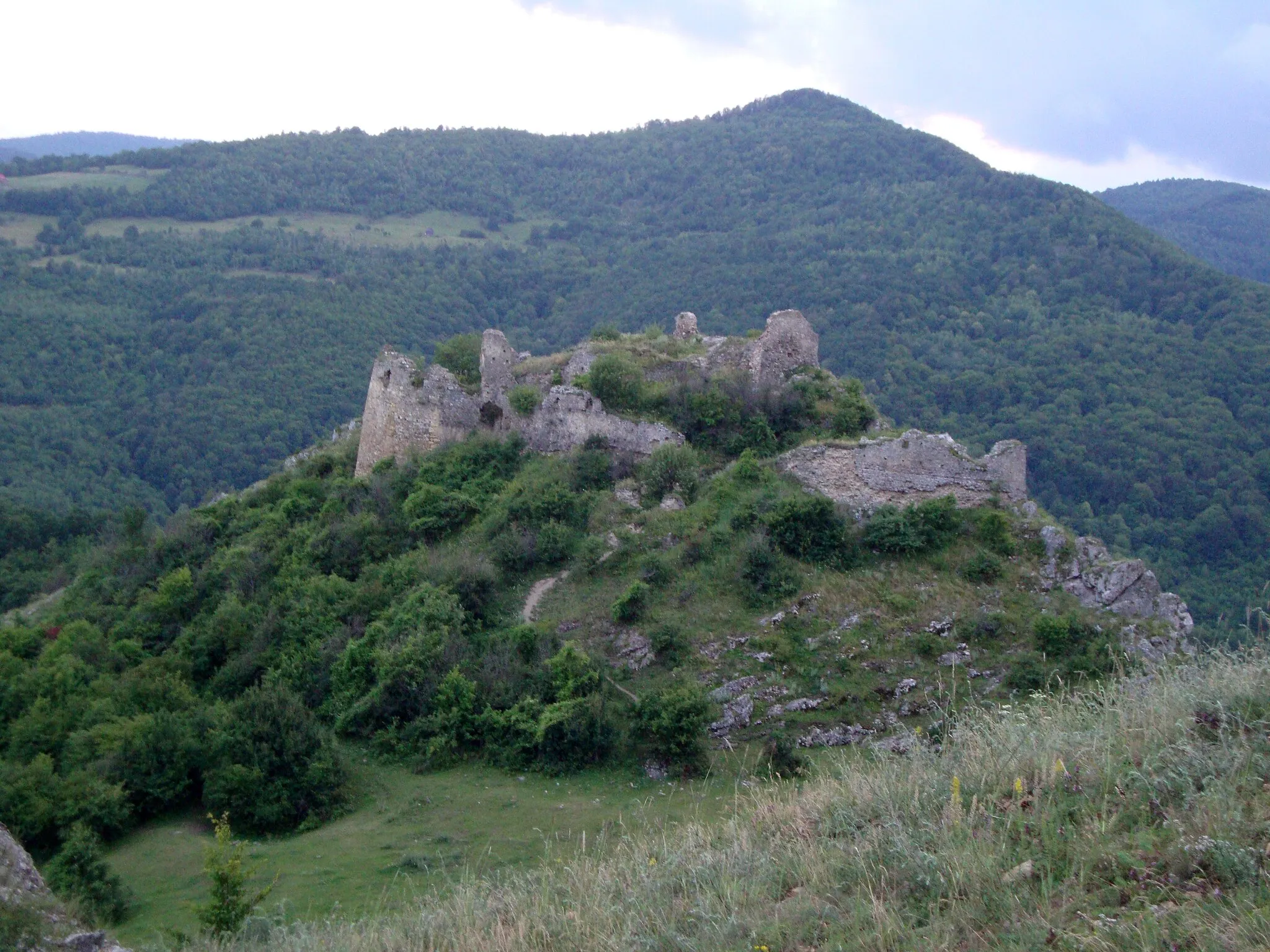 Photo showing: Liteni Castle