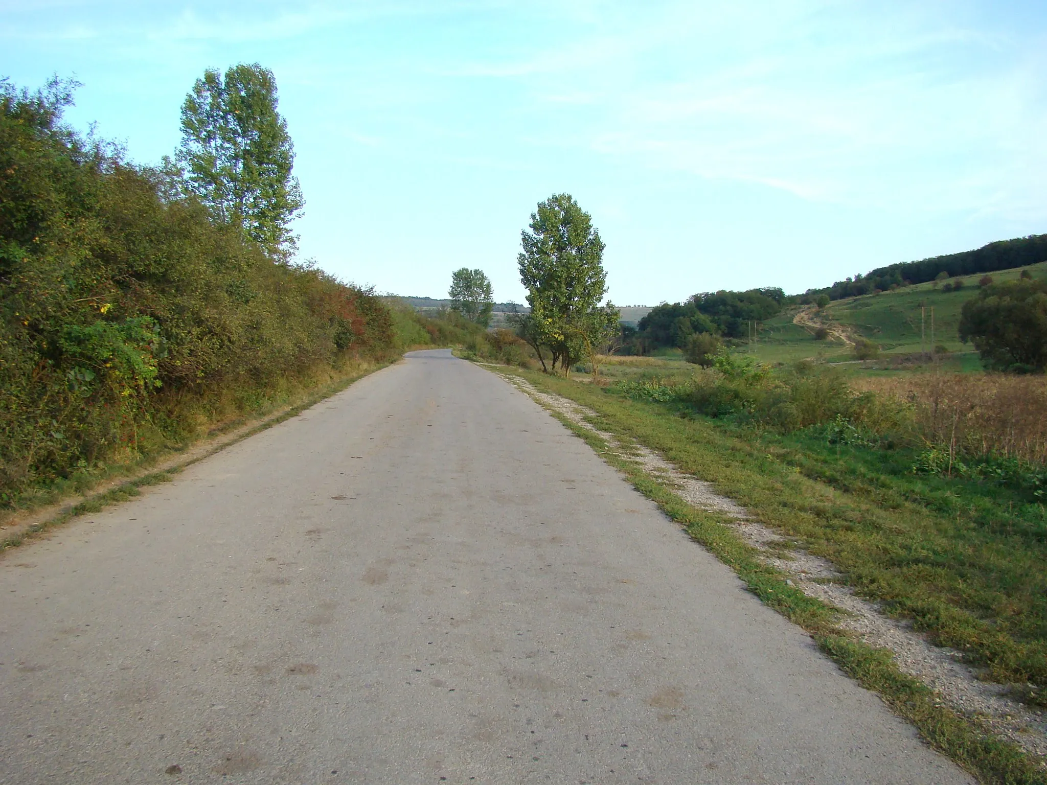 Photo showing: Diviciorii Mici, Cluj county, Romania