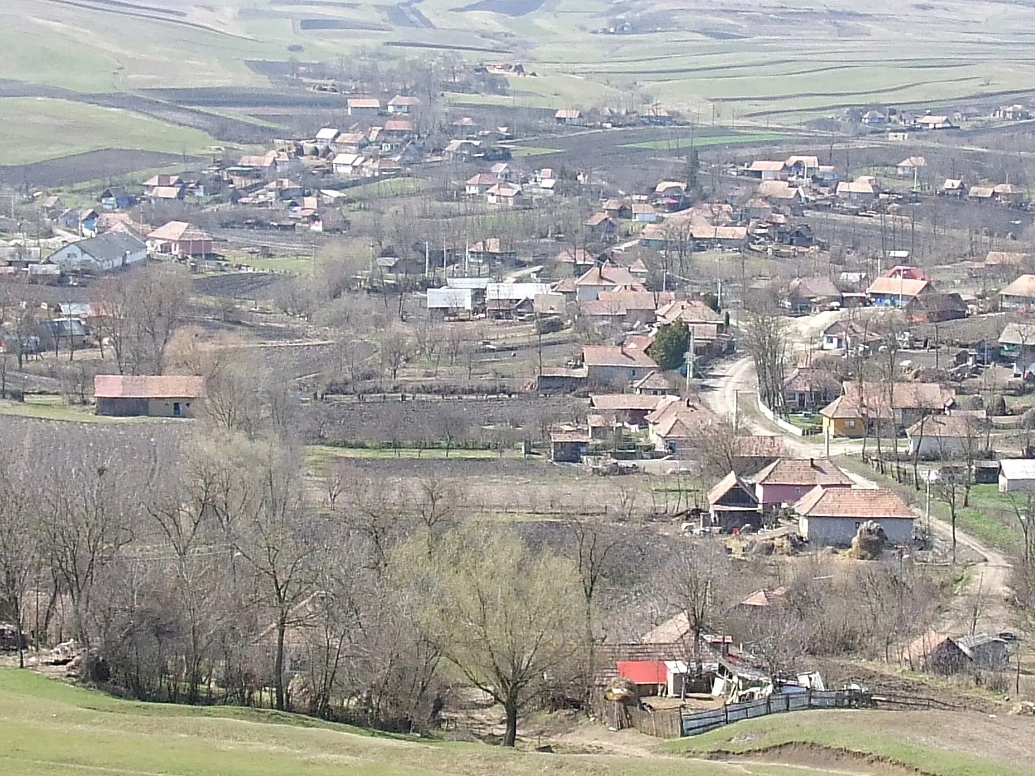 Photo showing: Imagini din Aruncuta,Cluj