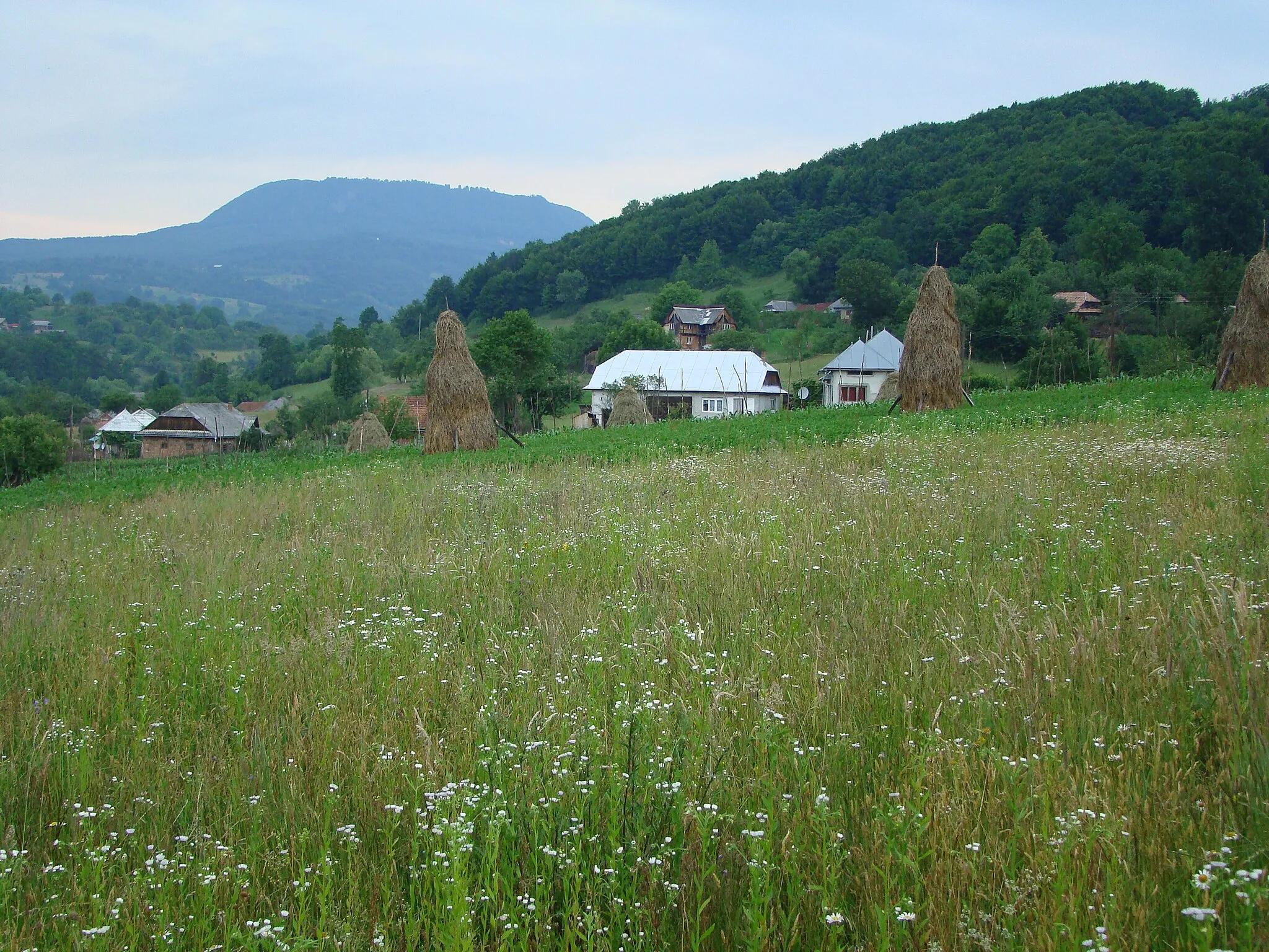 Photo showing: Stoiceni village in Maramureș County with the Șatra peak in the background