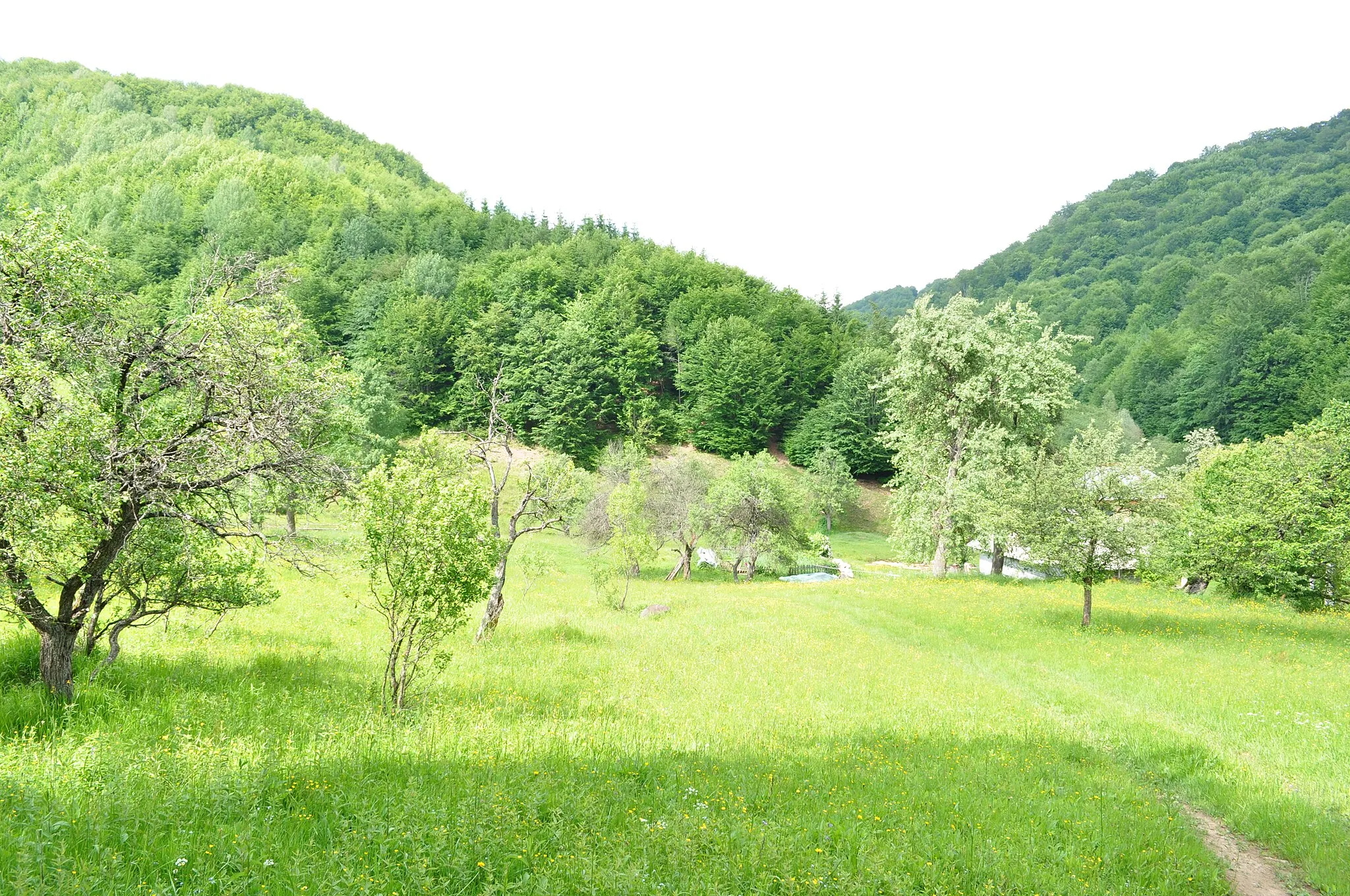 Photo showing: Izvoarele, Maramureș county, Romania