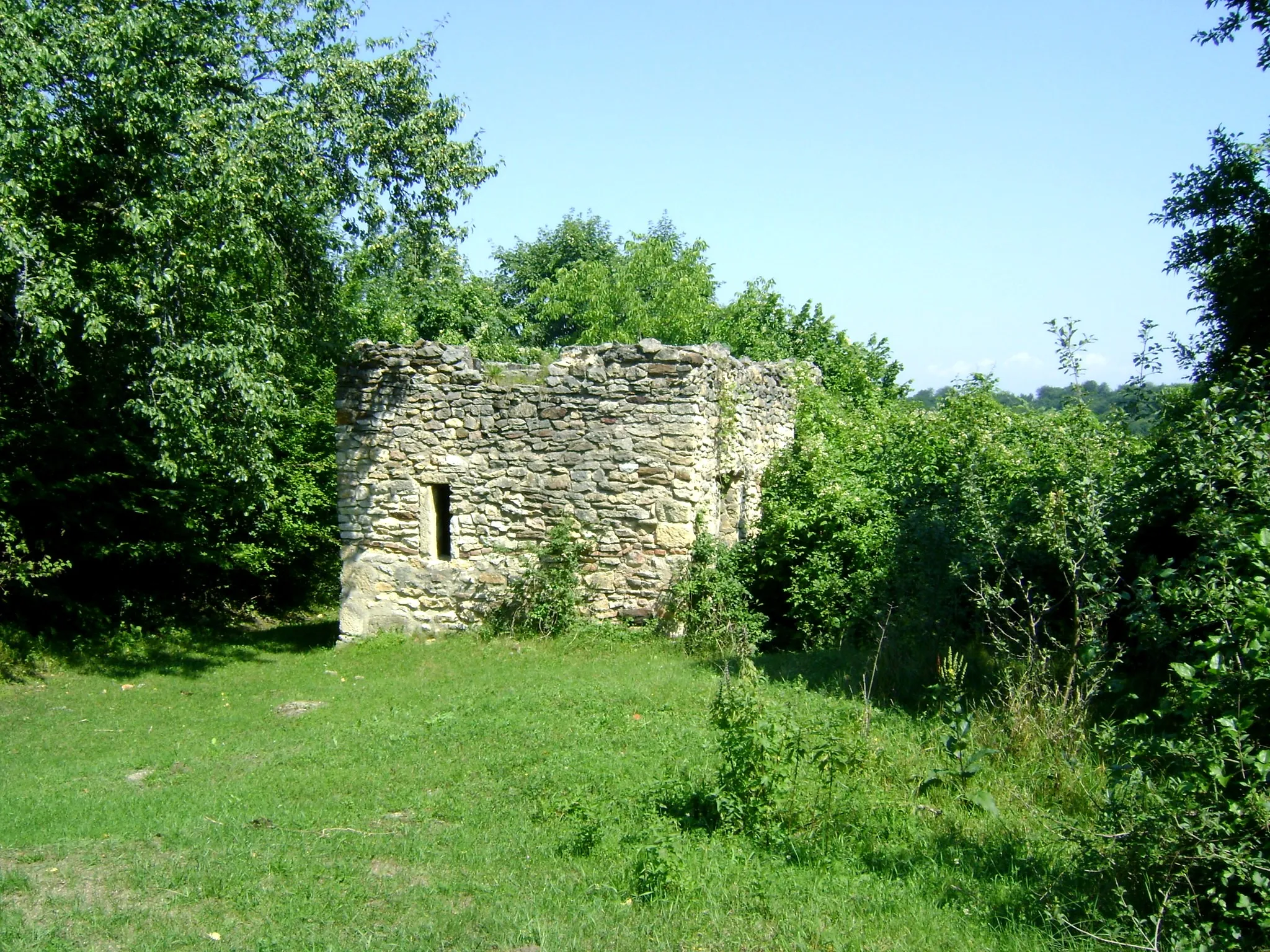 Photo showing: Cetatea Chioarului