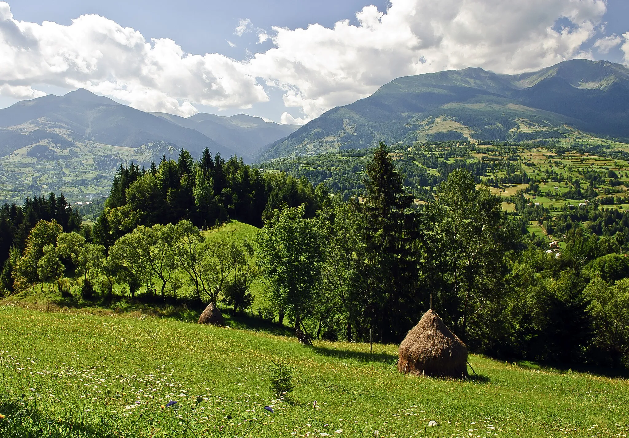 Photo showing: Peisaj montan Pietrosu Mare