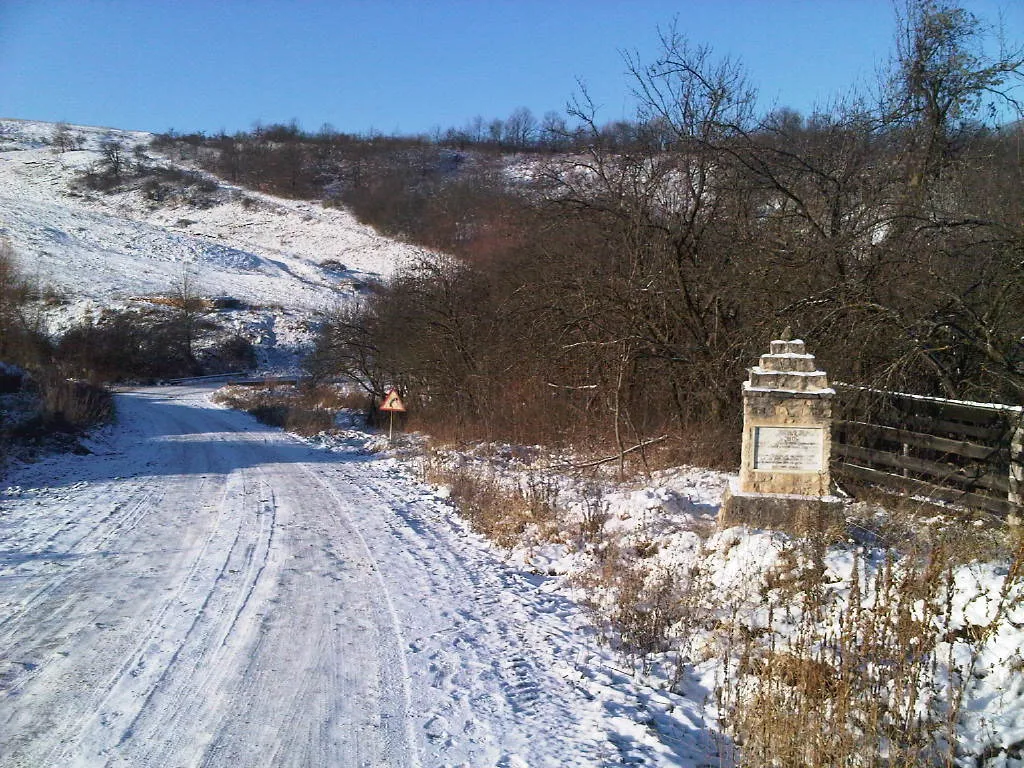 Photo showing: Jebucu village, Sălaj County, Romania