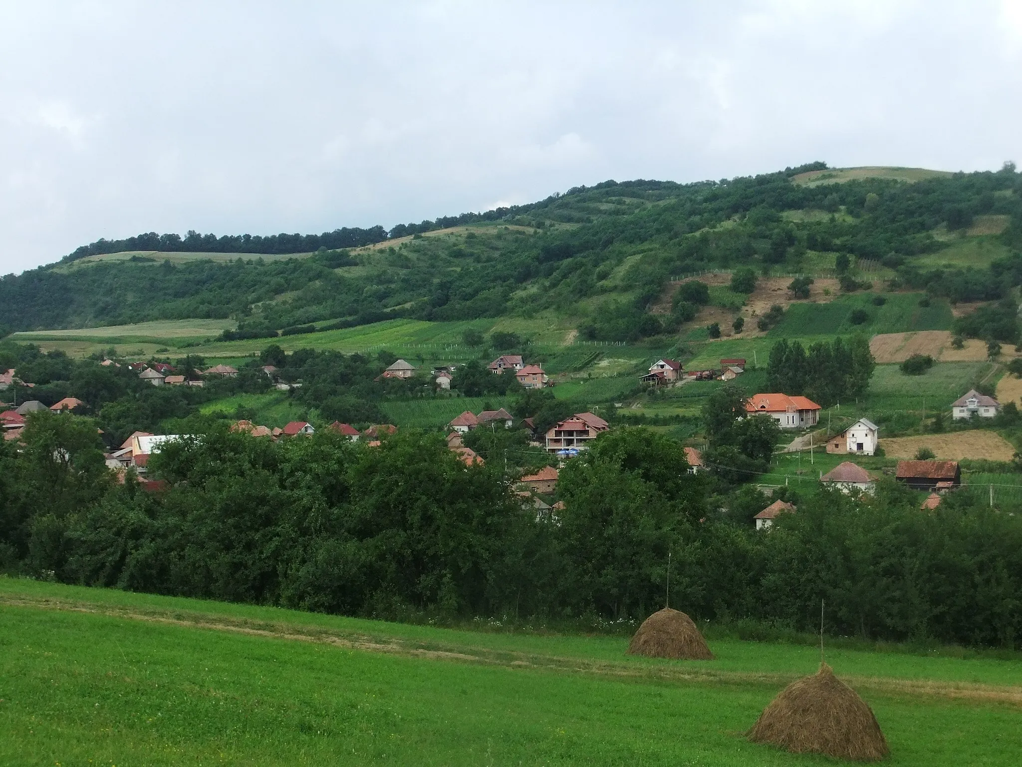 Photo showing: În hotaru Gălpâii