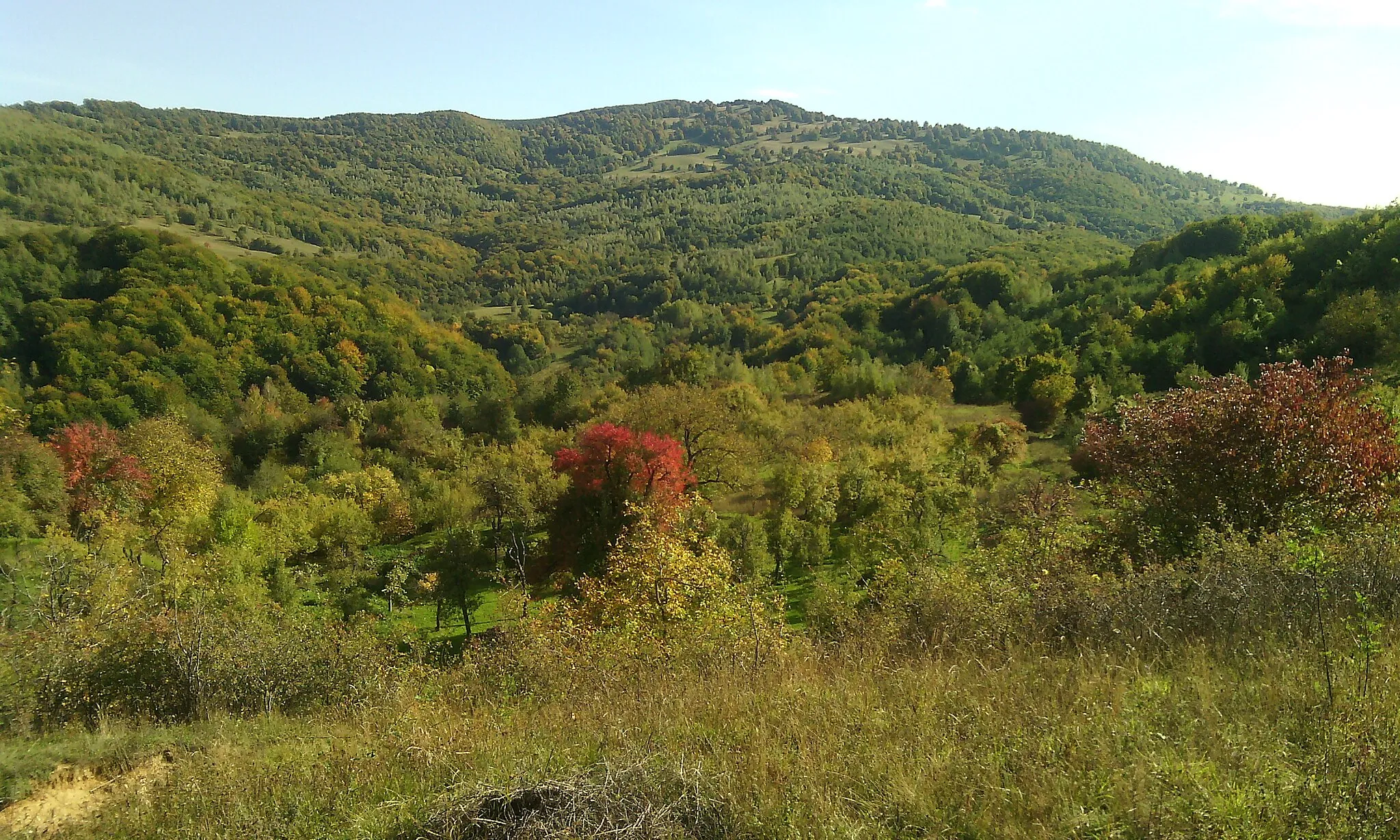 Photo showing: Măgura Priei, judeţul Sălaj