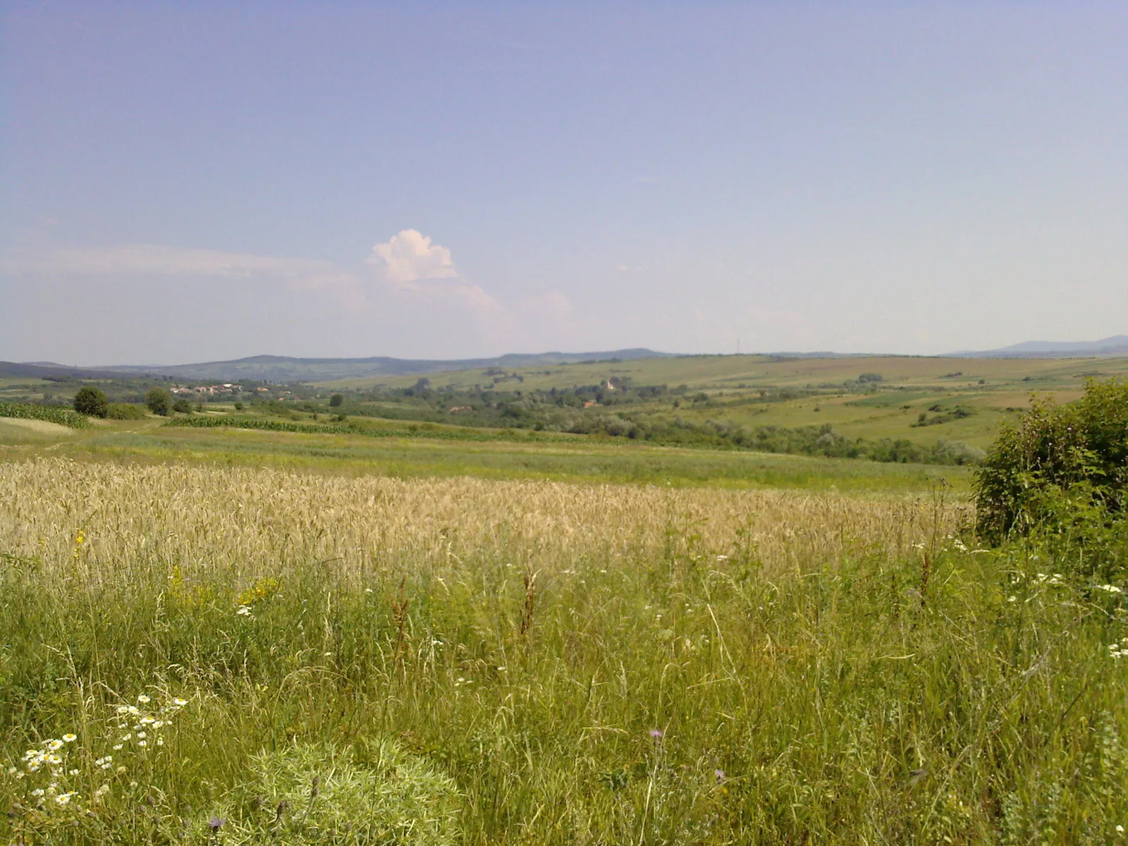 Photo showing: Plesca Village, Sălaj County, Romania