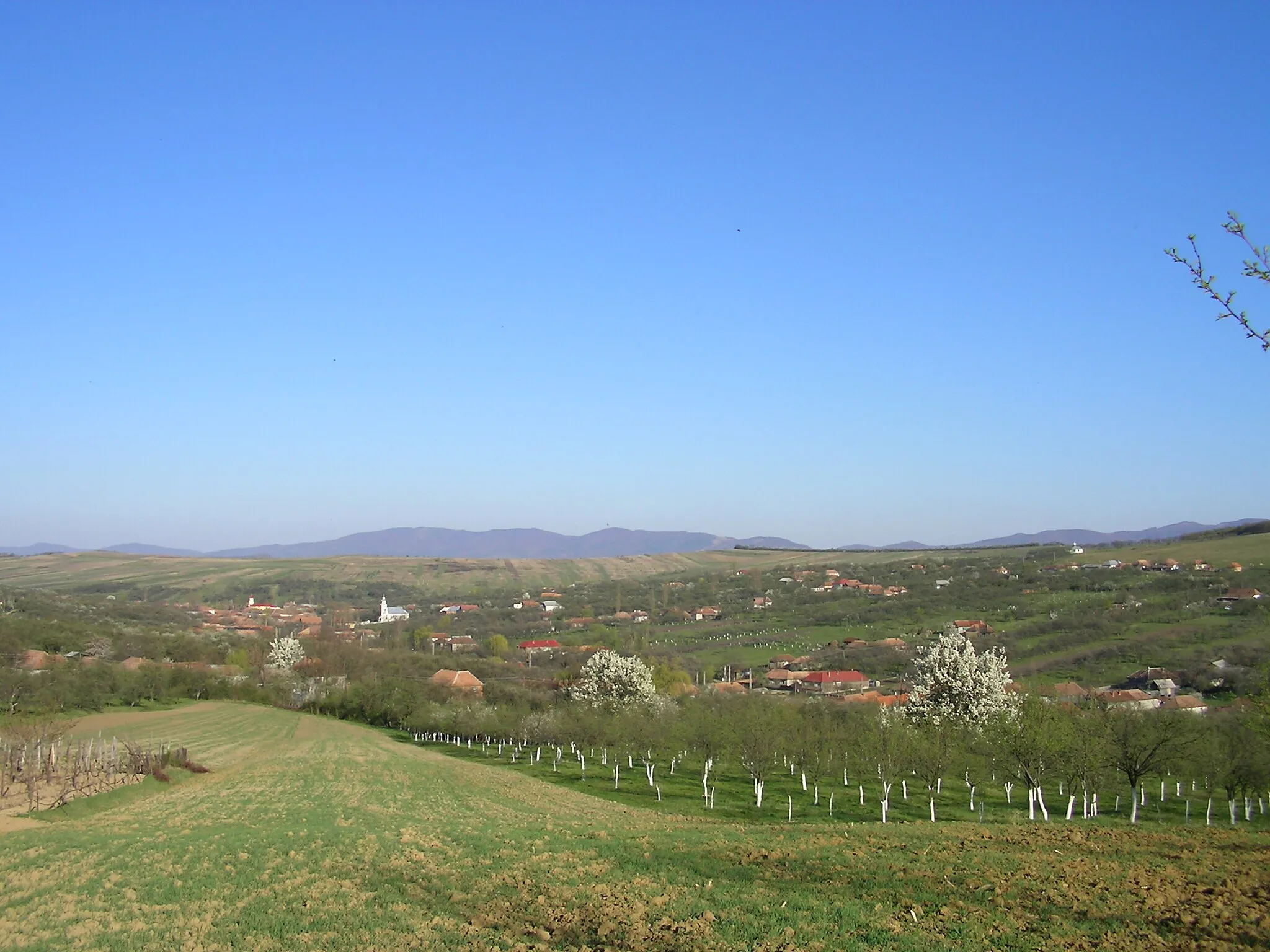 Photo showing: Satul Marin, judeţul Sălaj, vedere vestică.