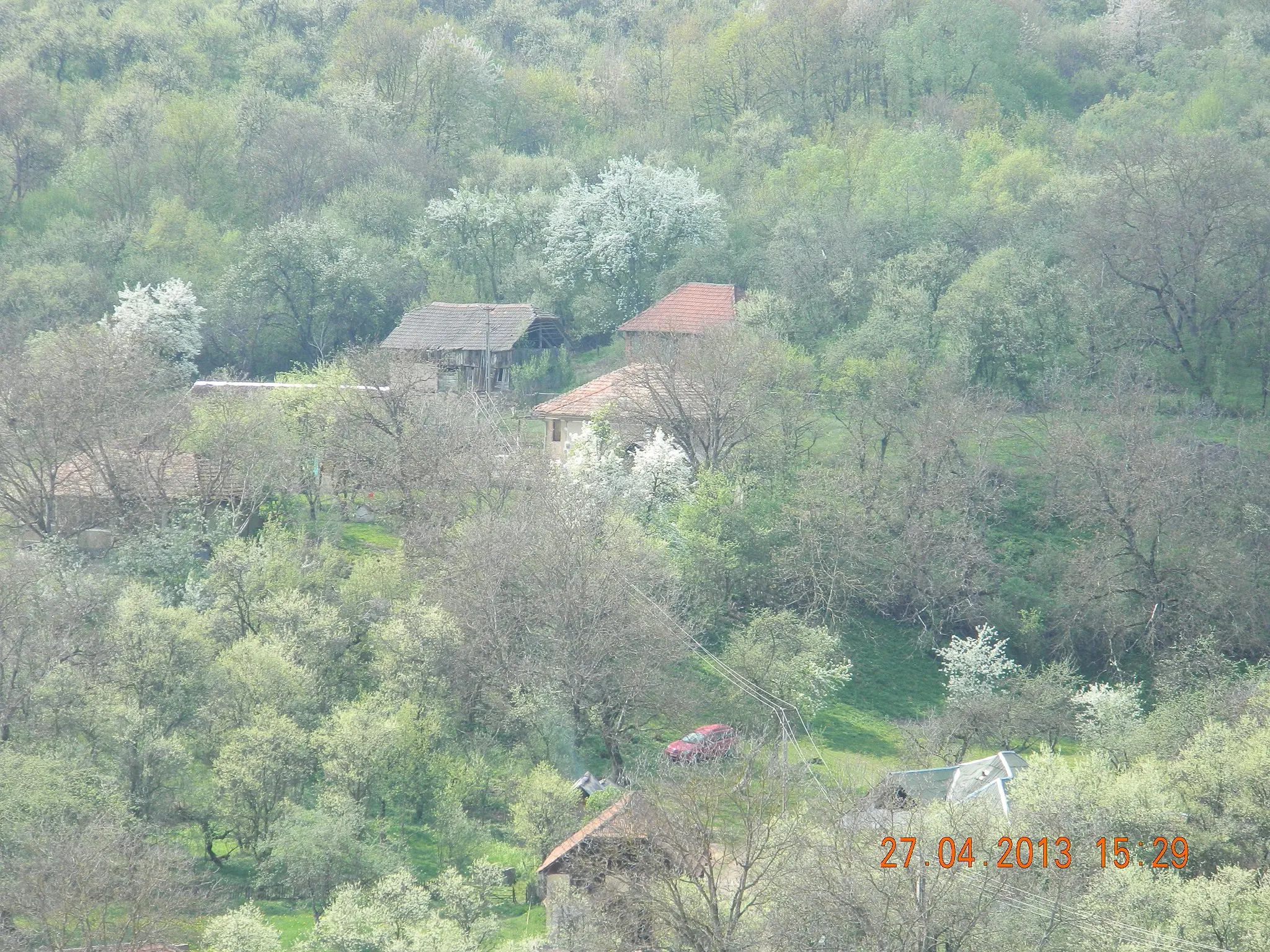 Photo showing: Luminișu, SJ, casele ,,Din leal,,