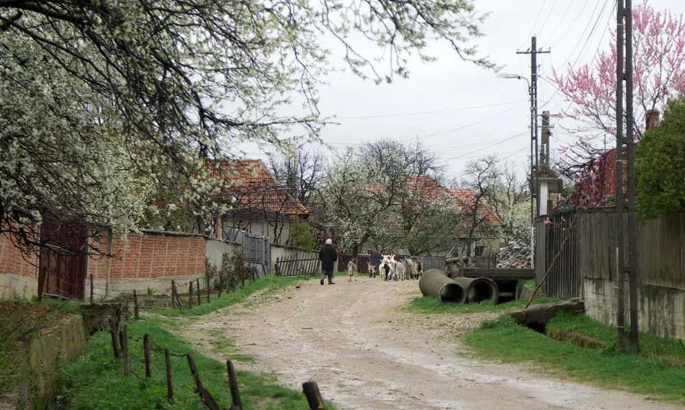 Photo showing: Mal, Sălaj: pă ulița Brejească.
